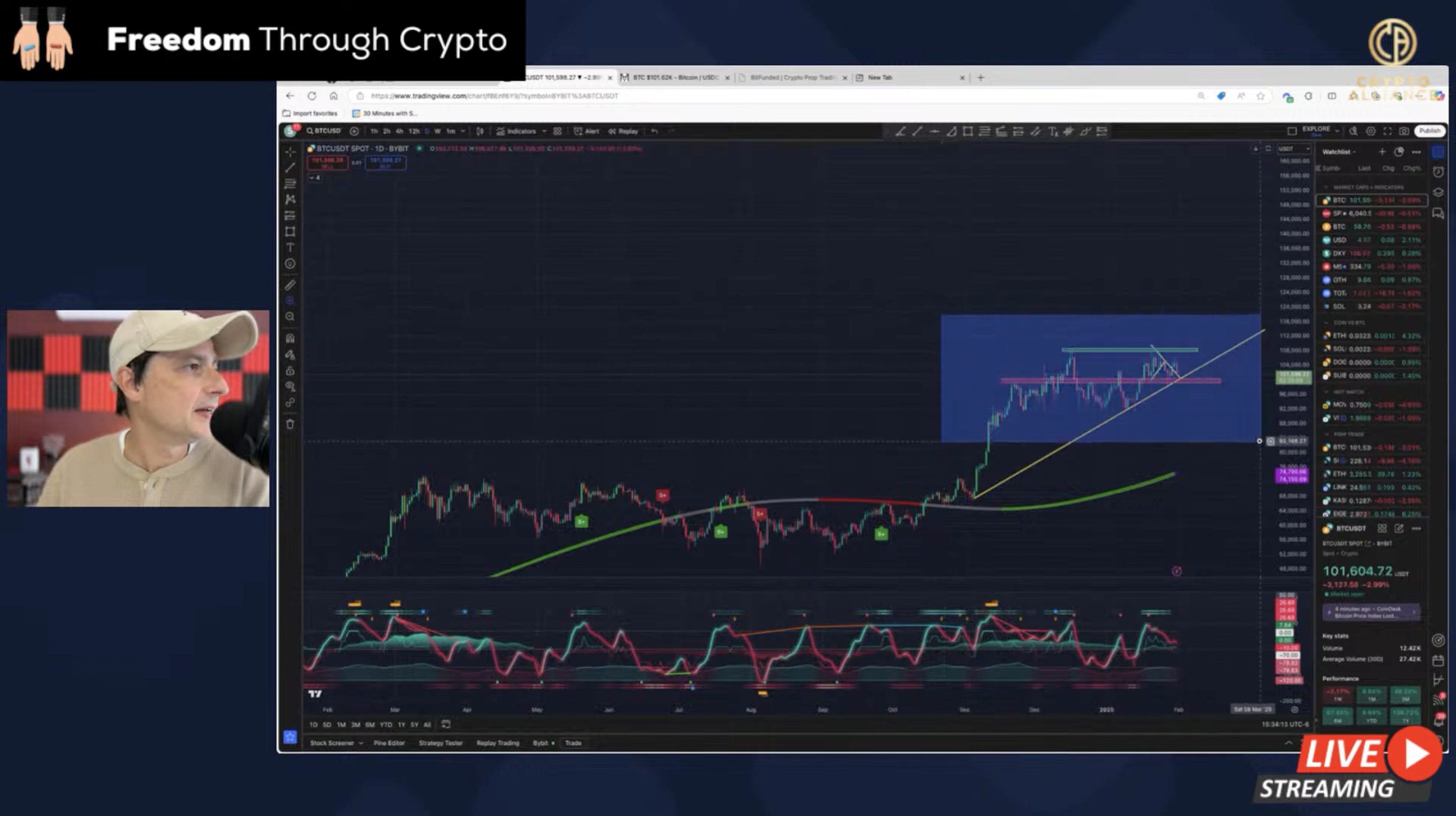 Graph depicting Bitcoin passing $100,000 Graph depicting Bitcoin passing $100,000