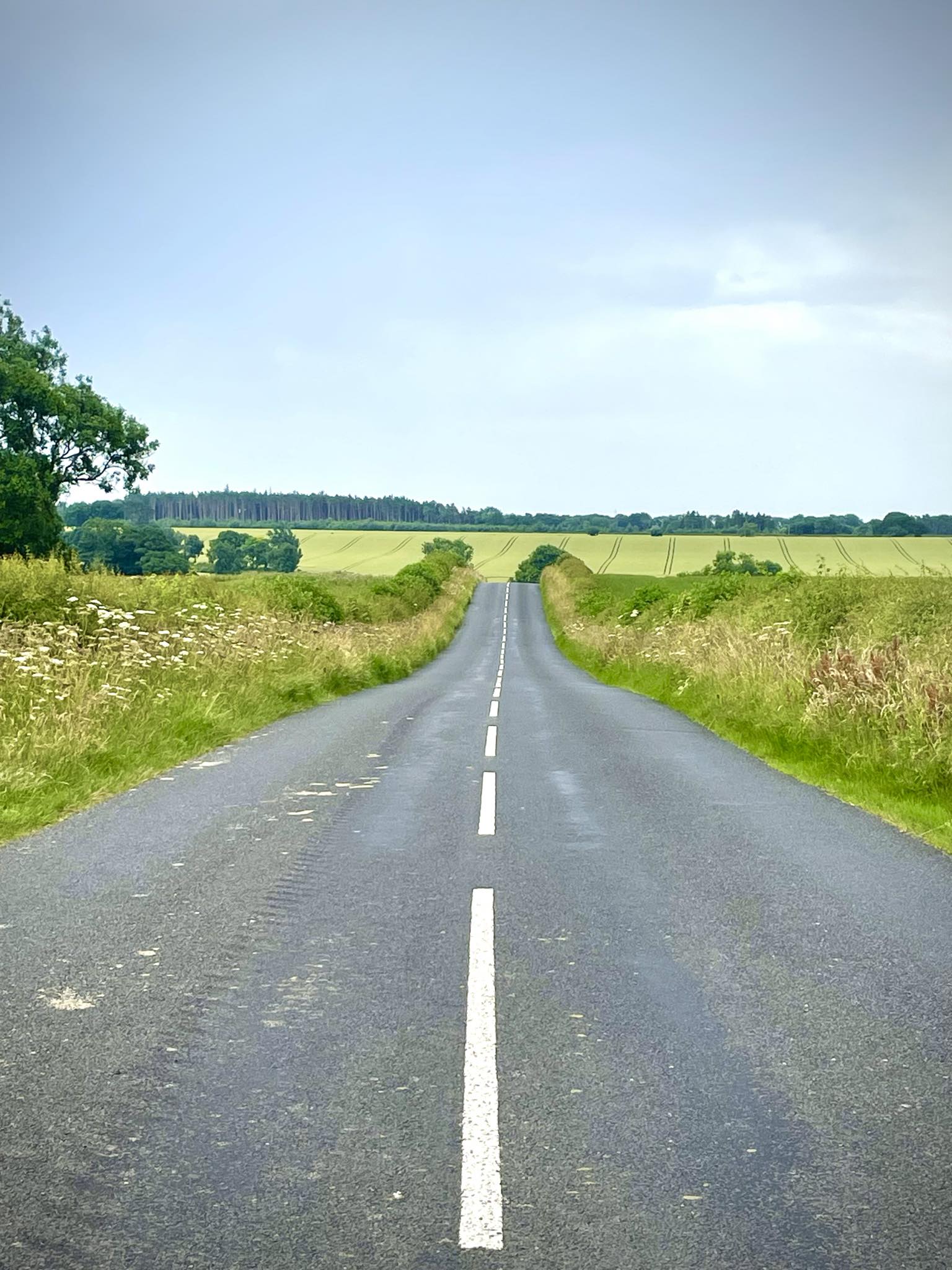 cycling in Northumberland