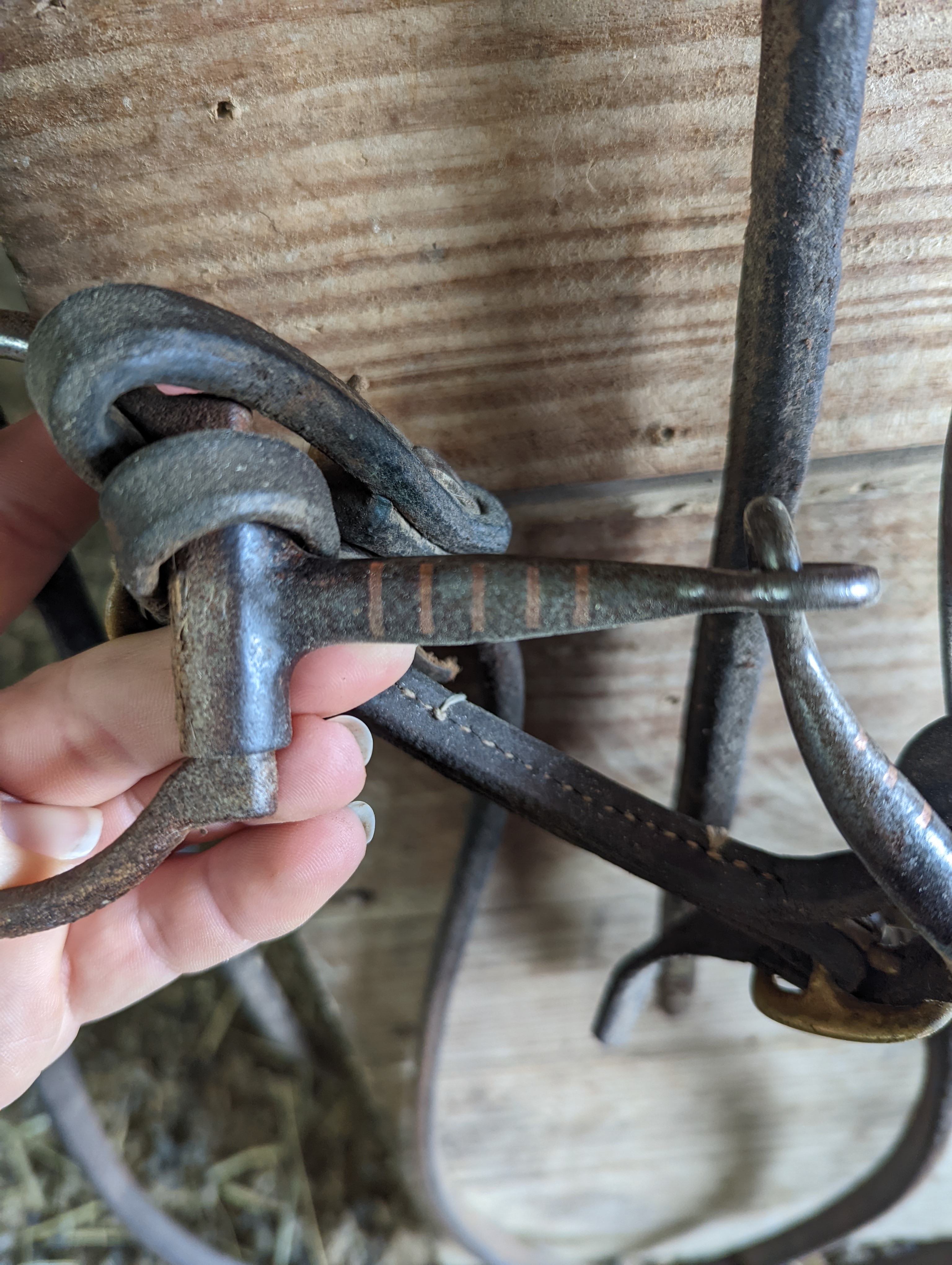 copper inlays, snaffle bit