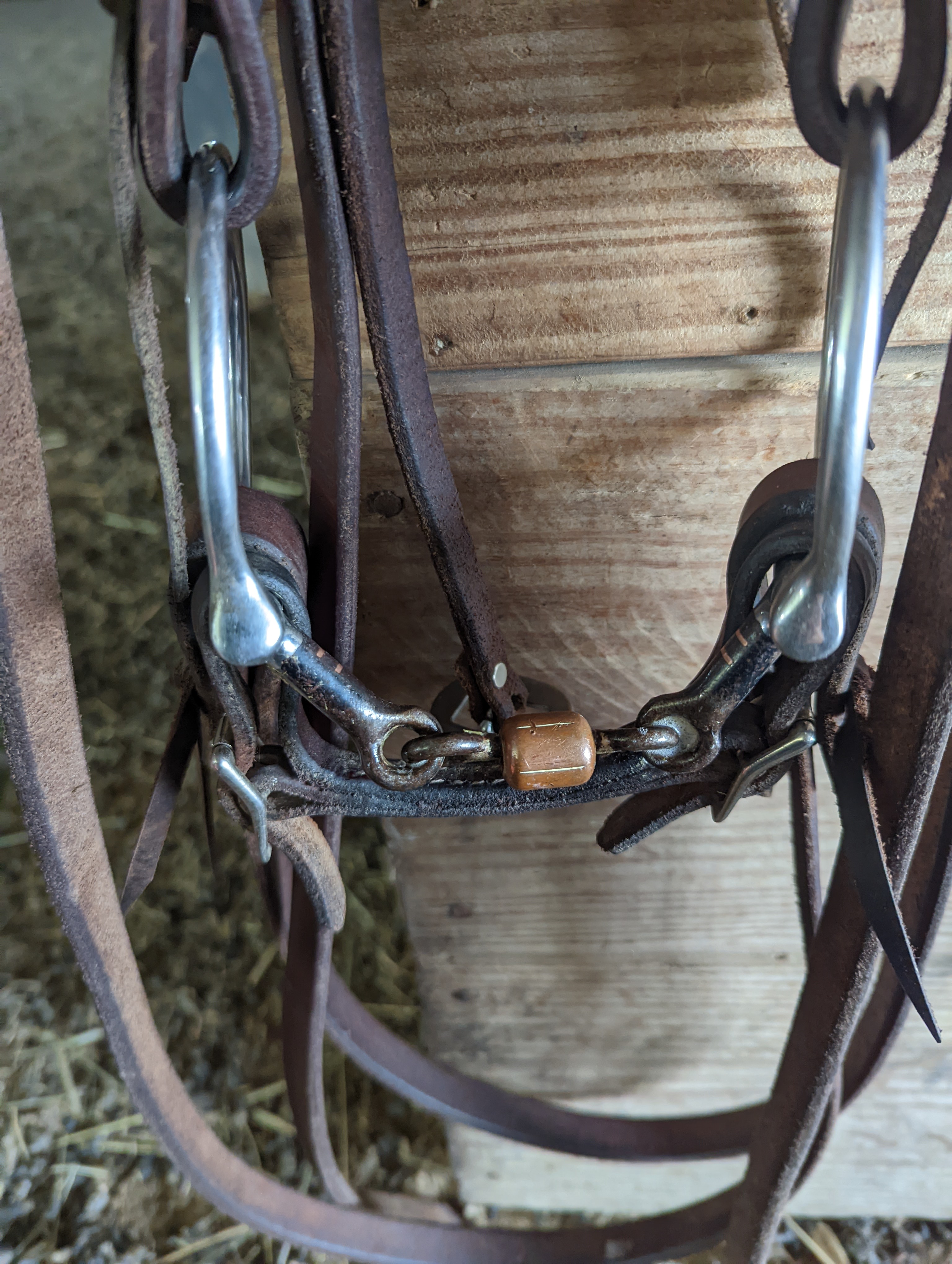 snaffle bit