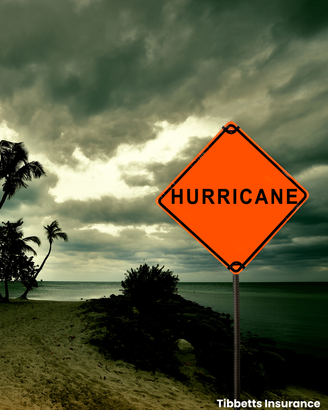 Hurricane Preparedness Hurricane Preparedness