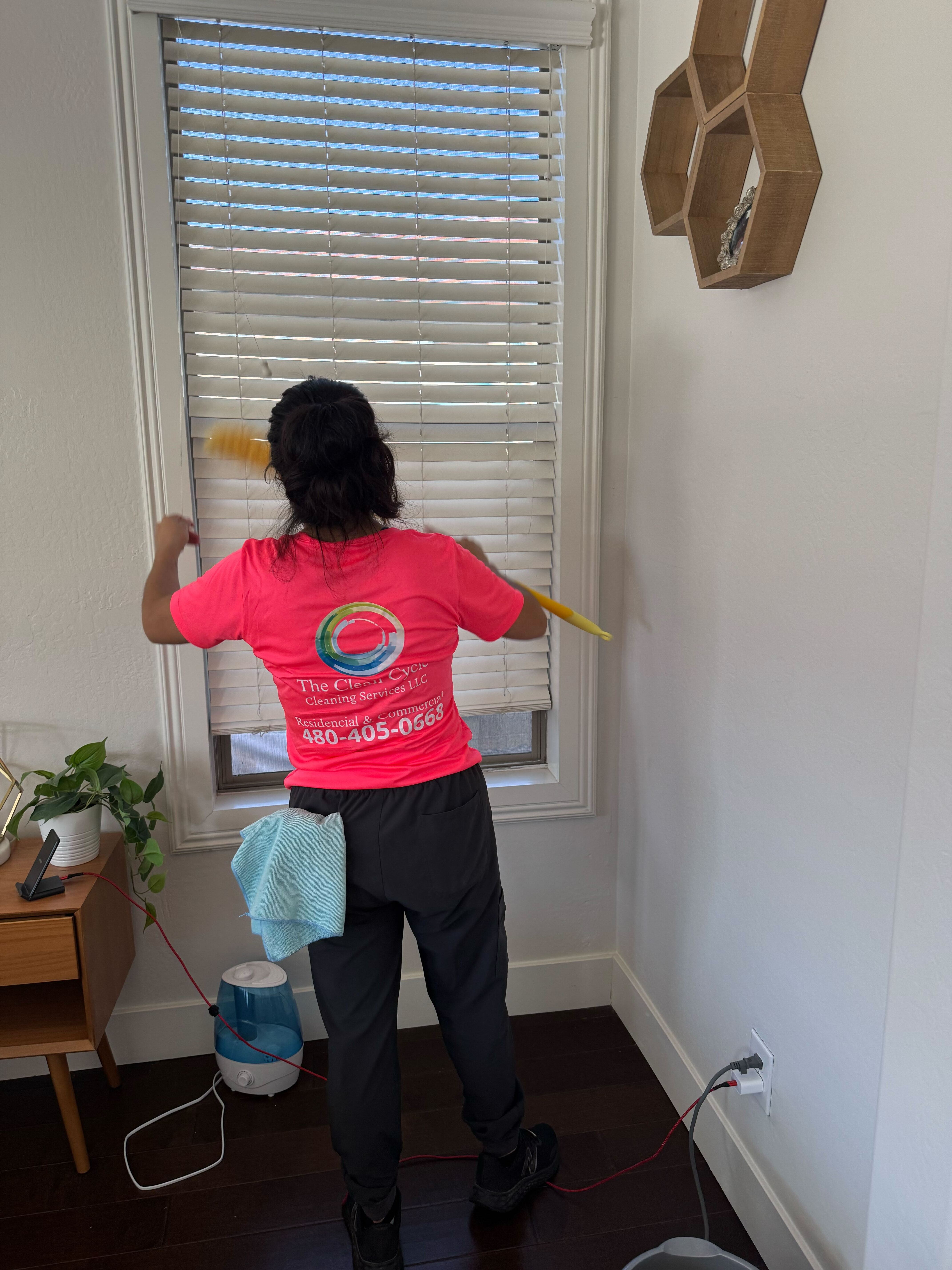 Detail blind cleaning East Valley