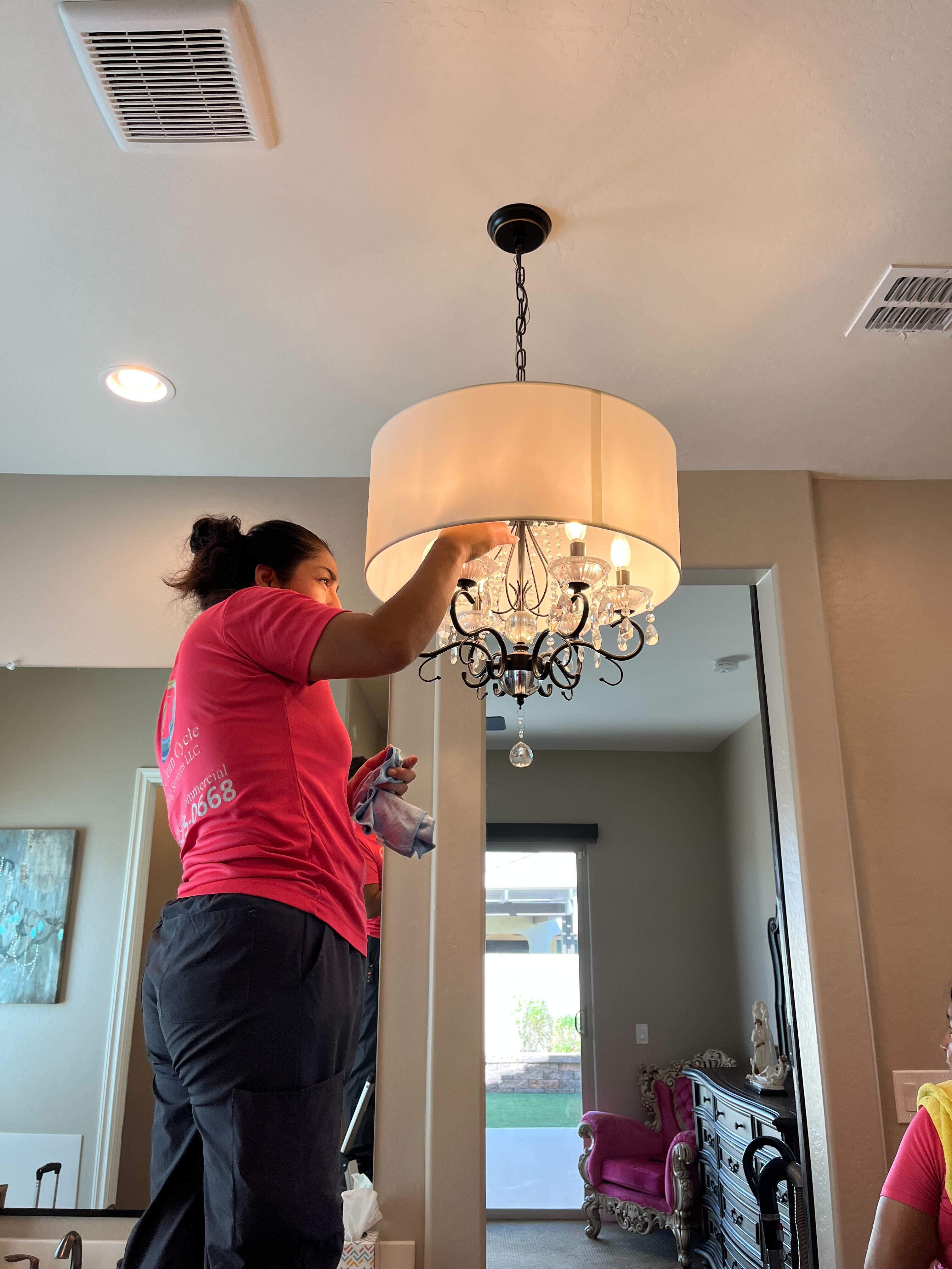 Ceiling fan and fixture cleaning
