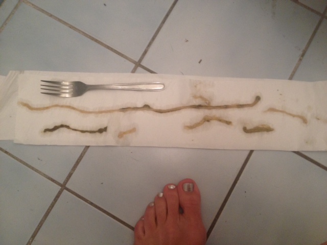 worm worm