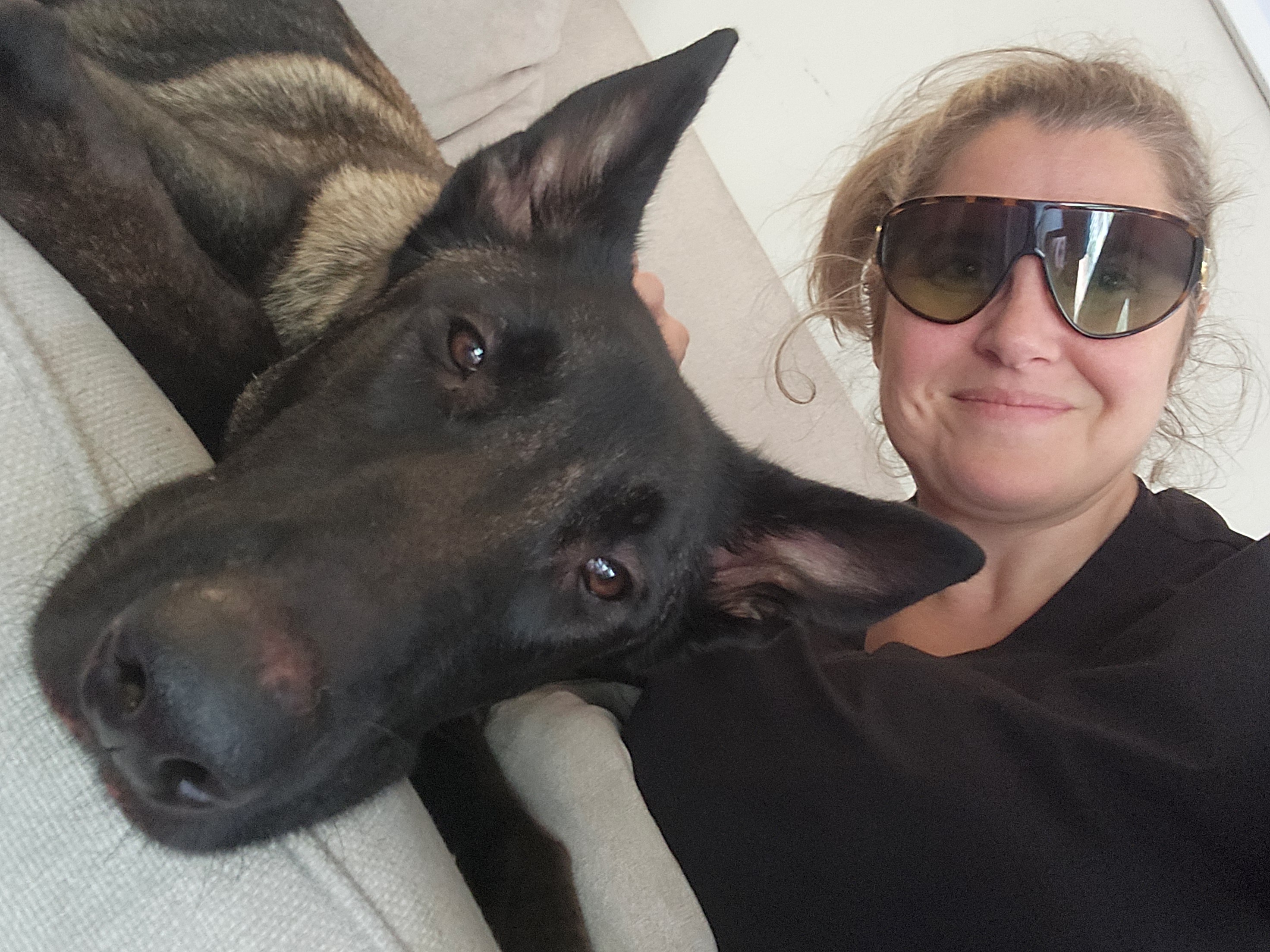 Kate, K9 Mold Detect owner and handler, serving Sarasota and surrounding areas finding hidden mold and keeping customers safe and informed.