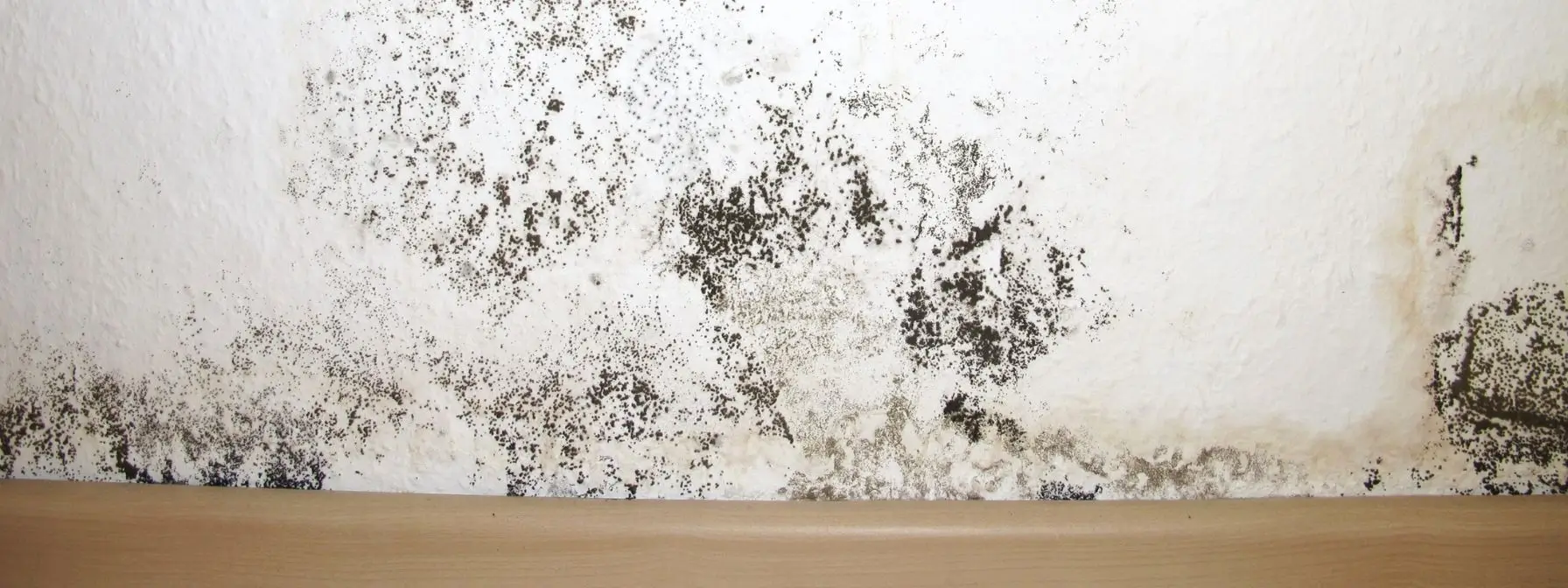 Severe black mold growth spreading along the bottom of a white interior wall, illustrating health risks caused by prolonged moisture from untreated plumbing leaks. Severe black mold growth spreading along the bottom of a white interior wall, illustrating health risks caused by prolonged moisture from untreated plumbing leaks.
