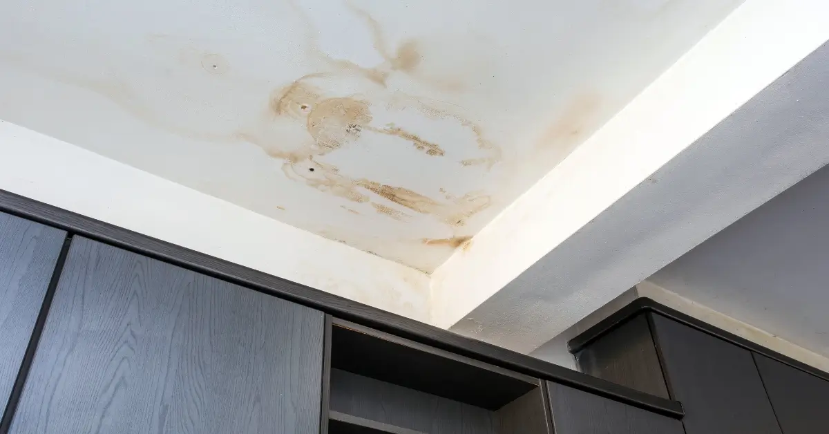 A ceiling with large brown water stains and signs of leakage above kitchen cabinets A ceiling with large brown water stains and signs of leakage above kitchen cabinets