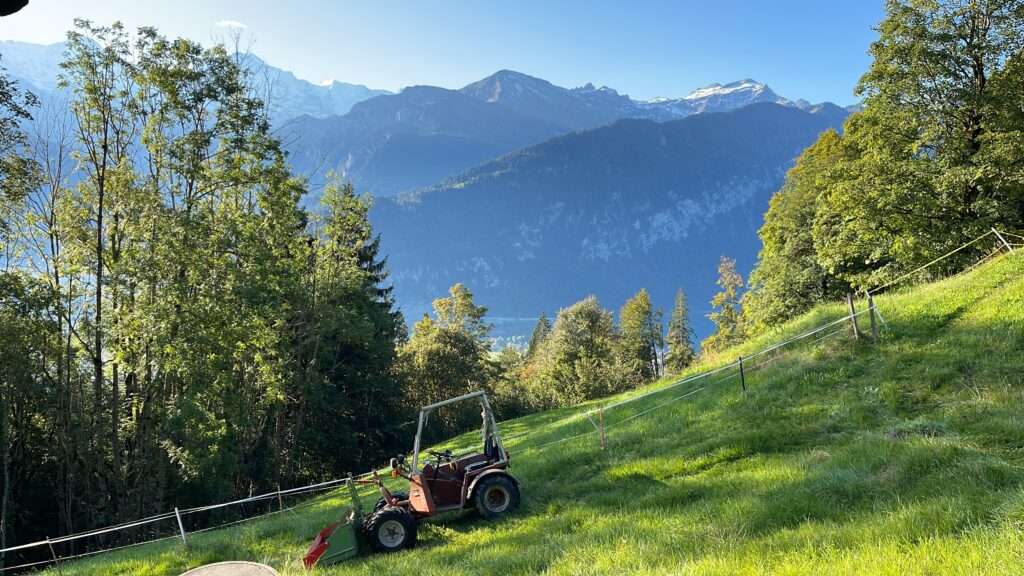 Beatenberg Terratrak Lee