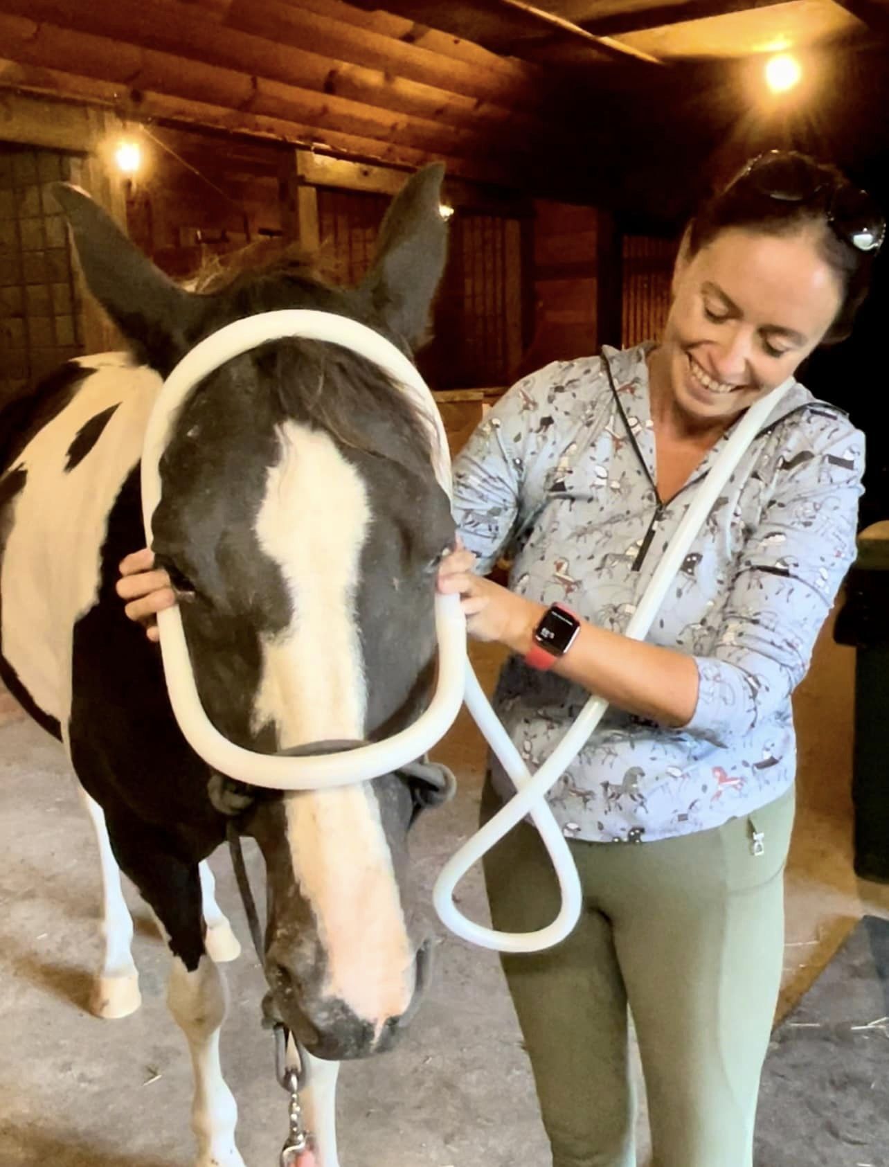 Amy Vanner doing a MagnaWave session on a horse with a lot of past physical & emotional trauma