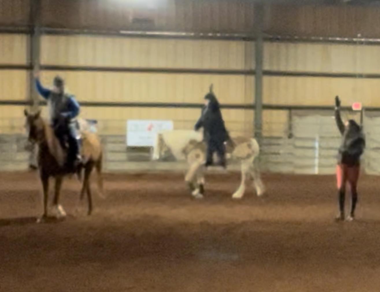 Amy Vanner teaching a lateral work clinic, but first.... it's all about the BASE! 