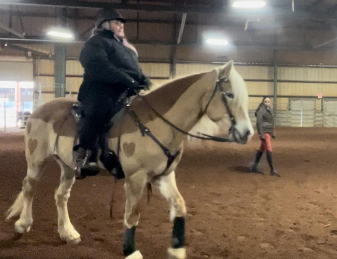 Adorable Haflinger mare in Amy Vanner's Lateral Work Made Easy clinic at Southern Equine Expo