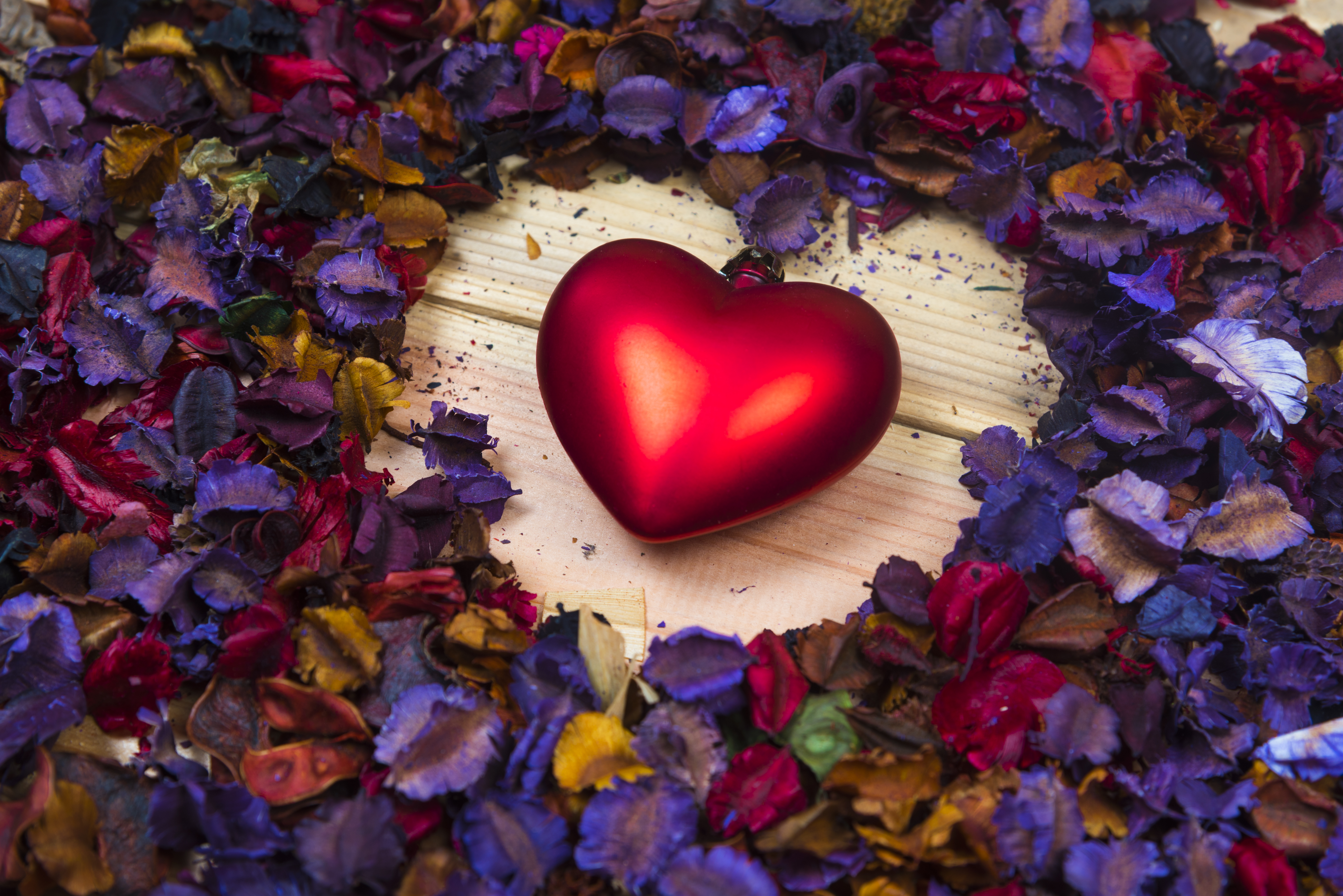 heart with rose petals heart with rose petals
