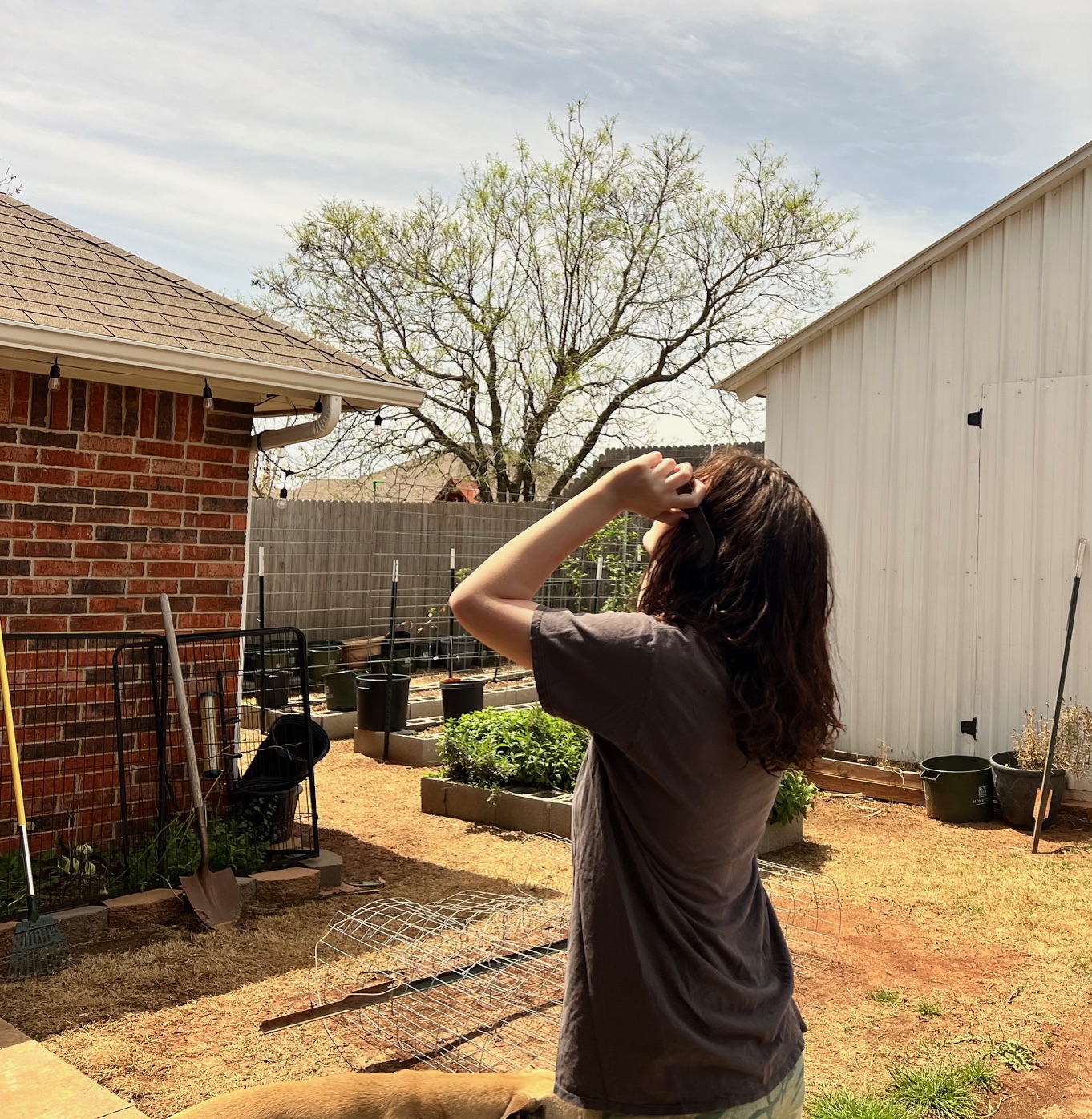person looking at a solar eclipse person looking at a solar eclipse