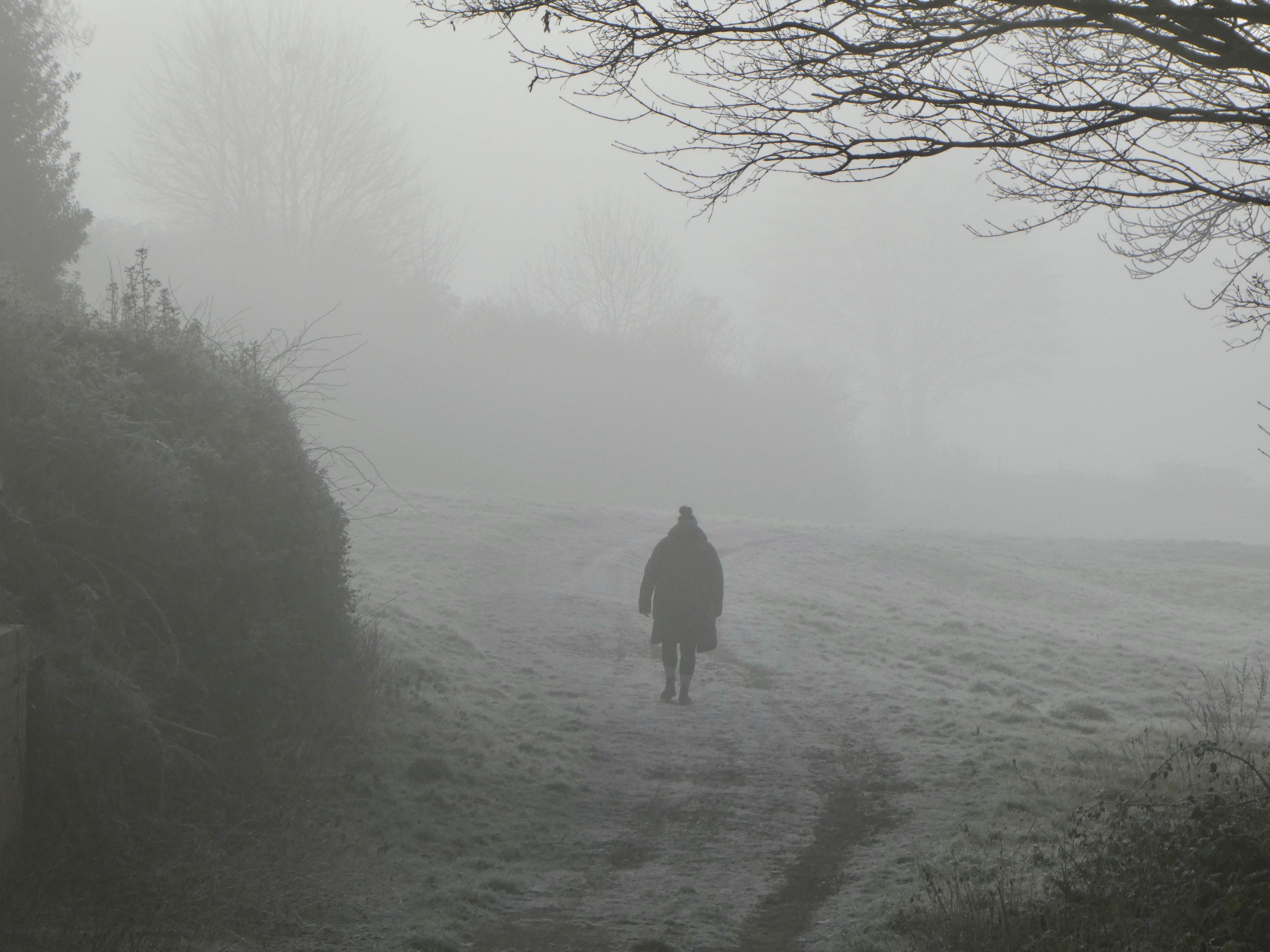 shadowy scene shadowy scene