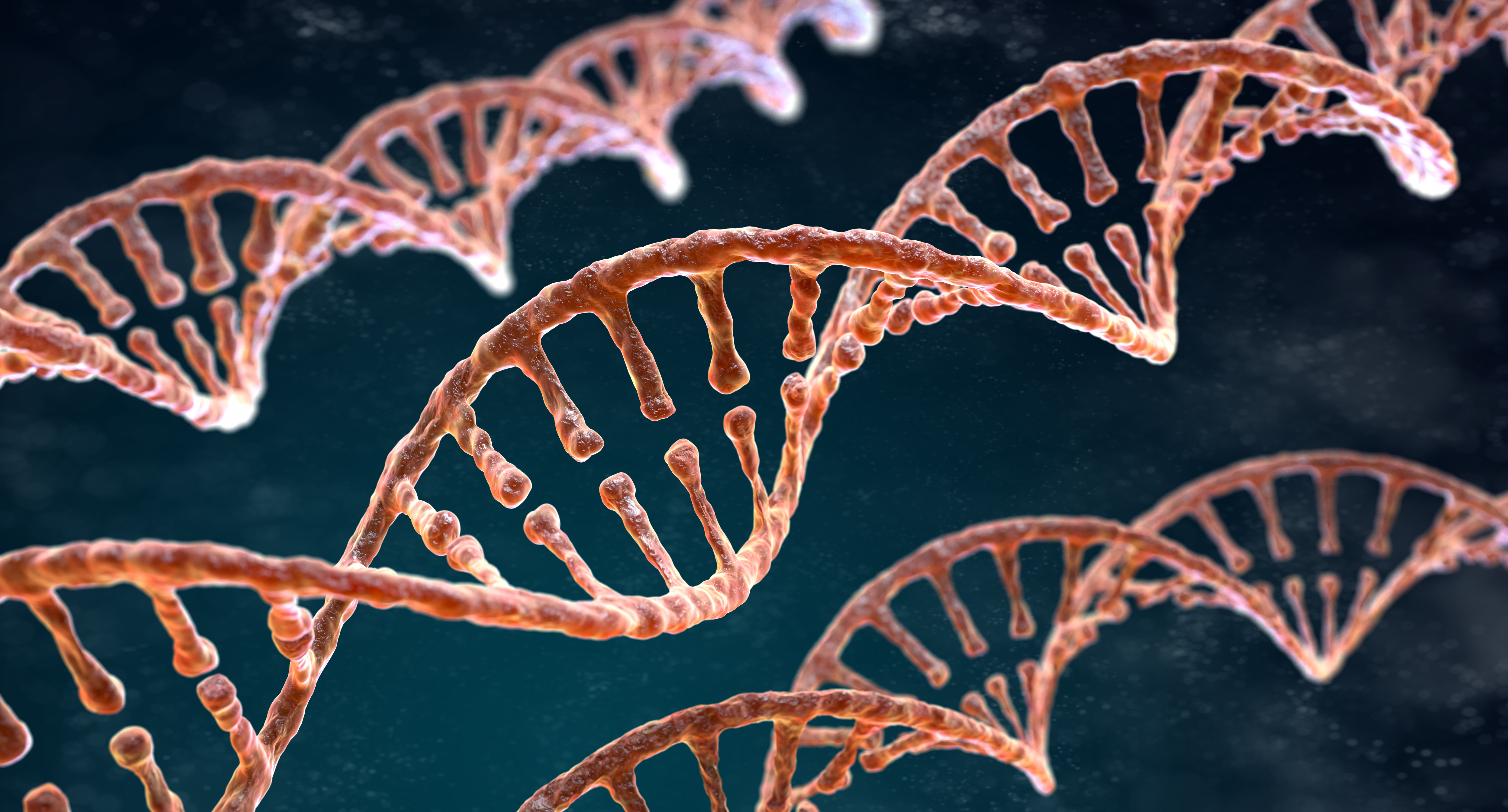 genes genes