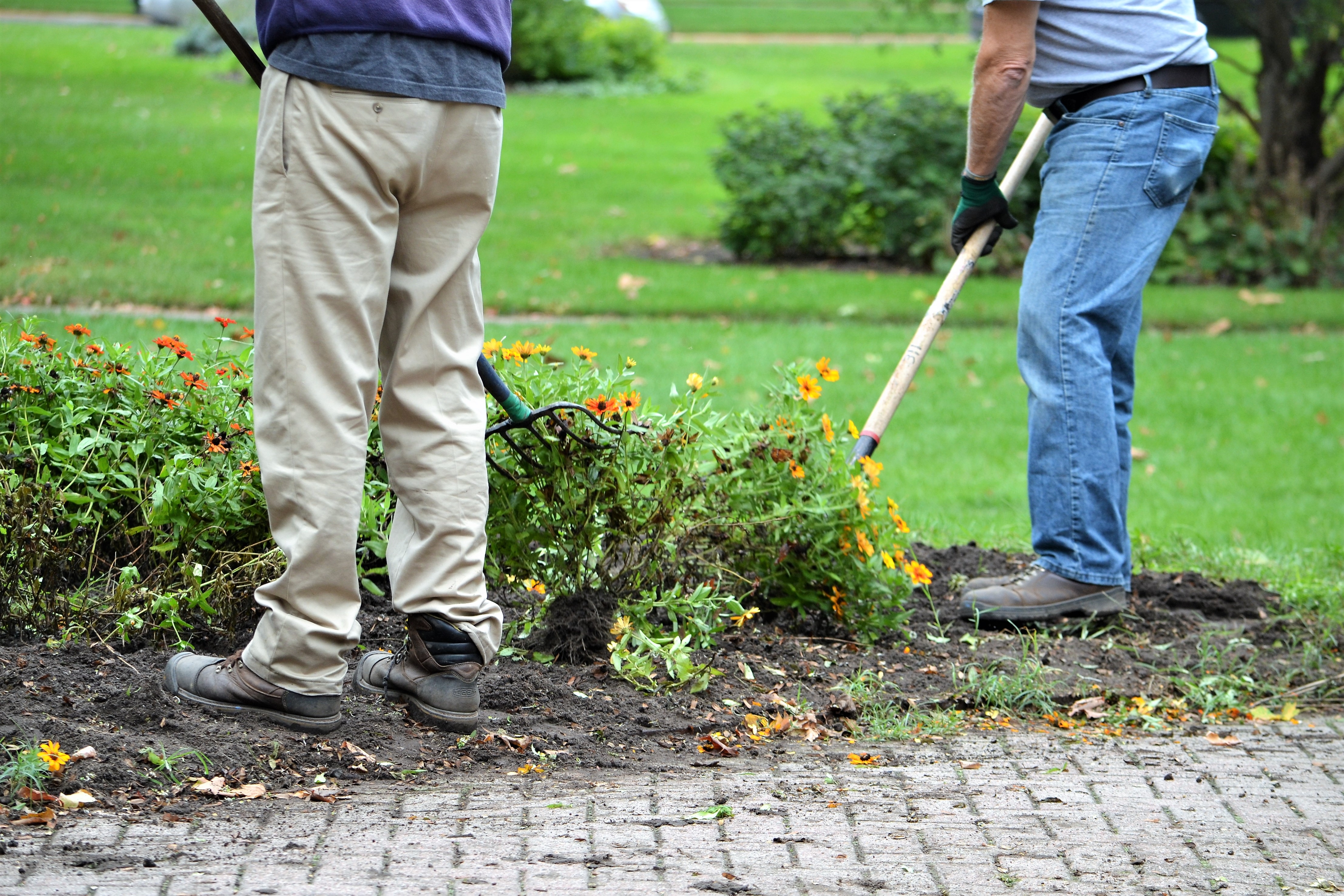 2 men digging up a flower bed 2 men digging up a flower bed