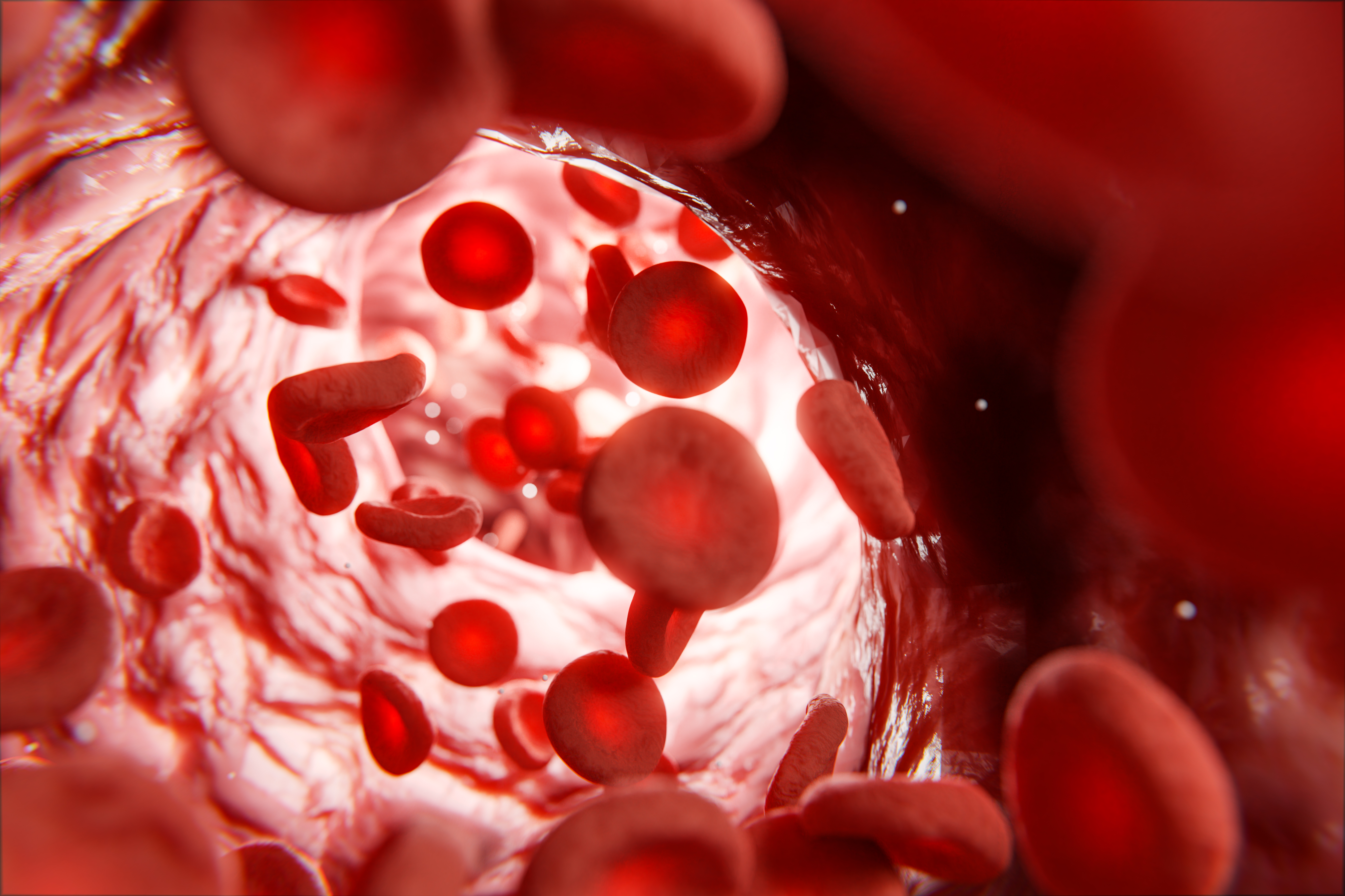 blood vessels