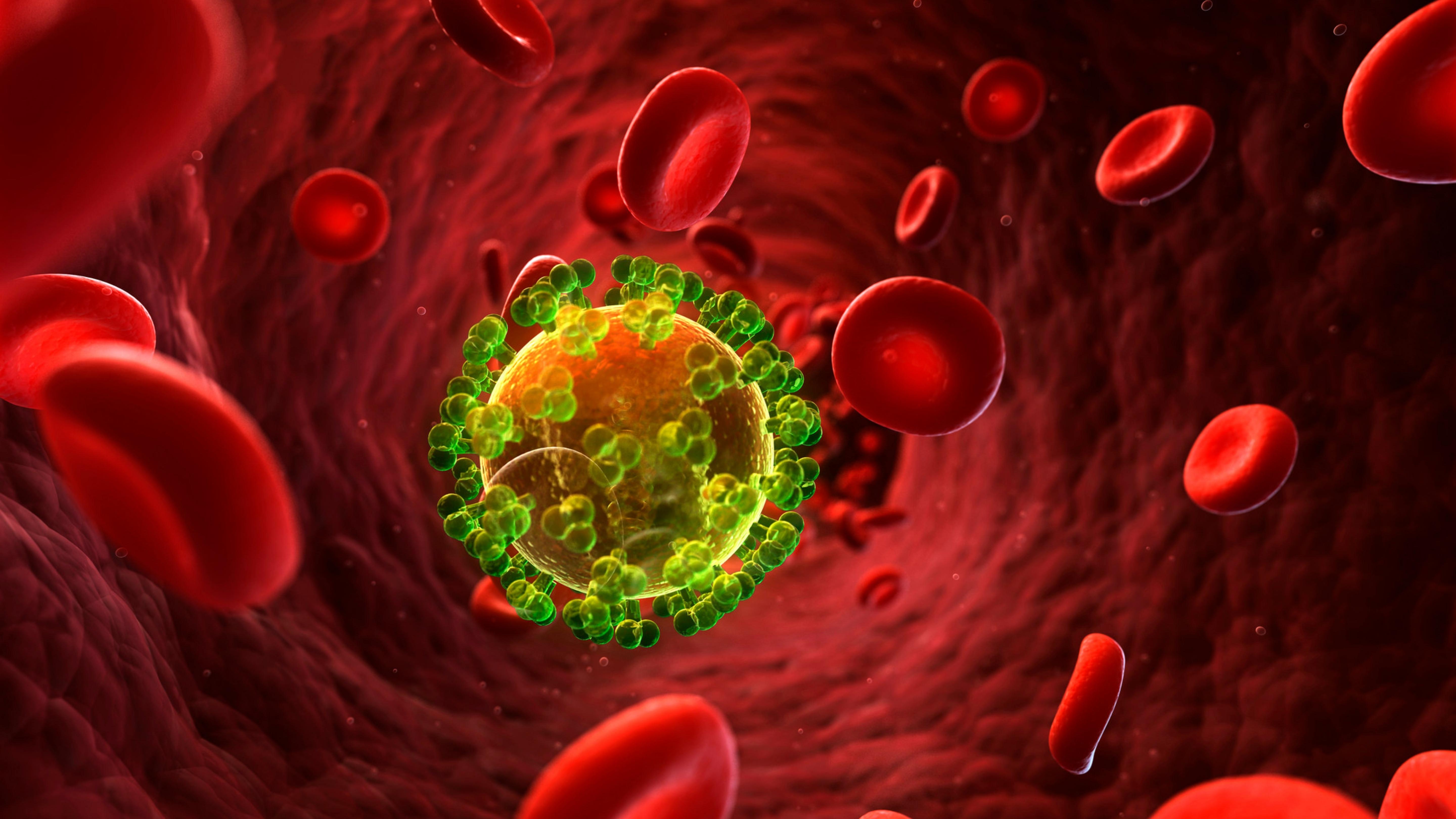 Immune System Health and Resilience Through Modulation