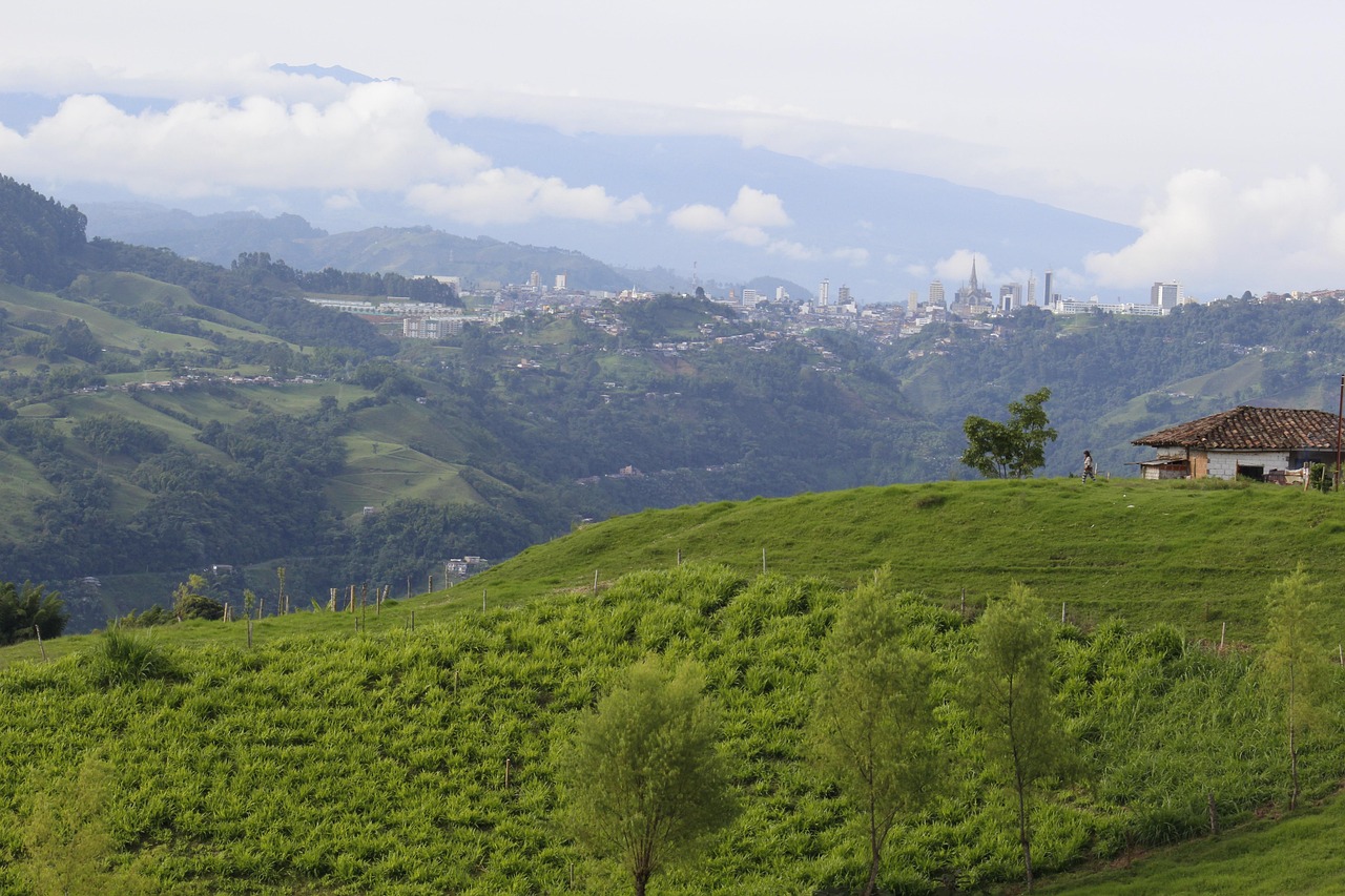 paisaje montañoso del eje cafetero, tradición y belleza natural 
