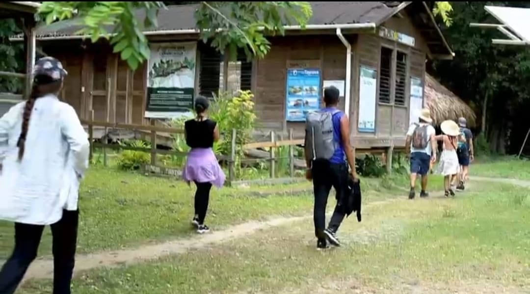 caminata por zonas protegidas del parque tayrona
