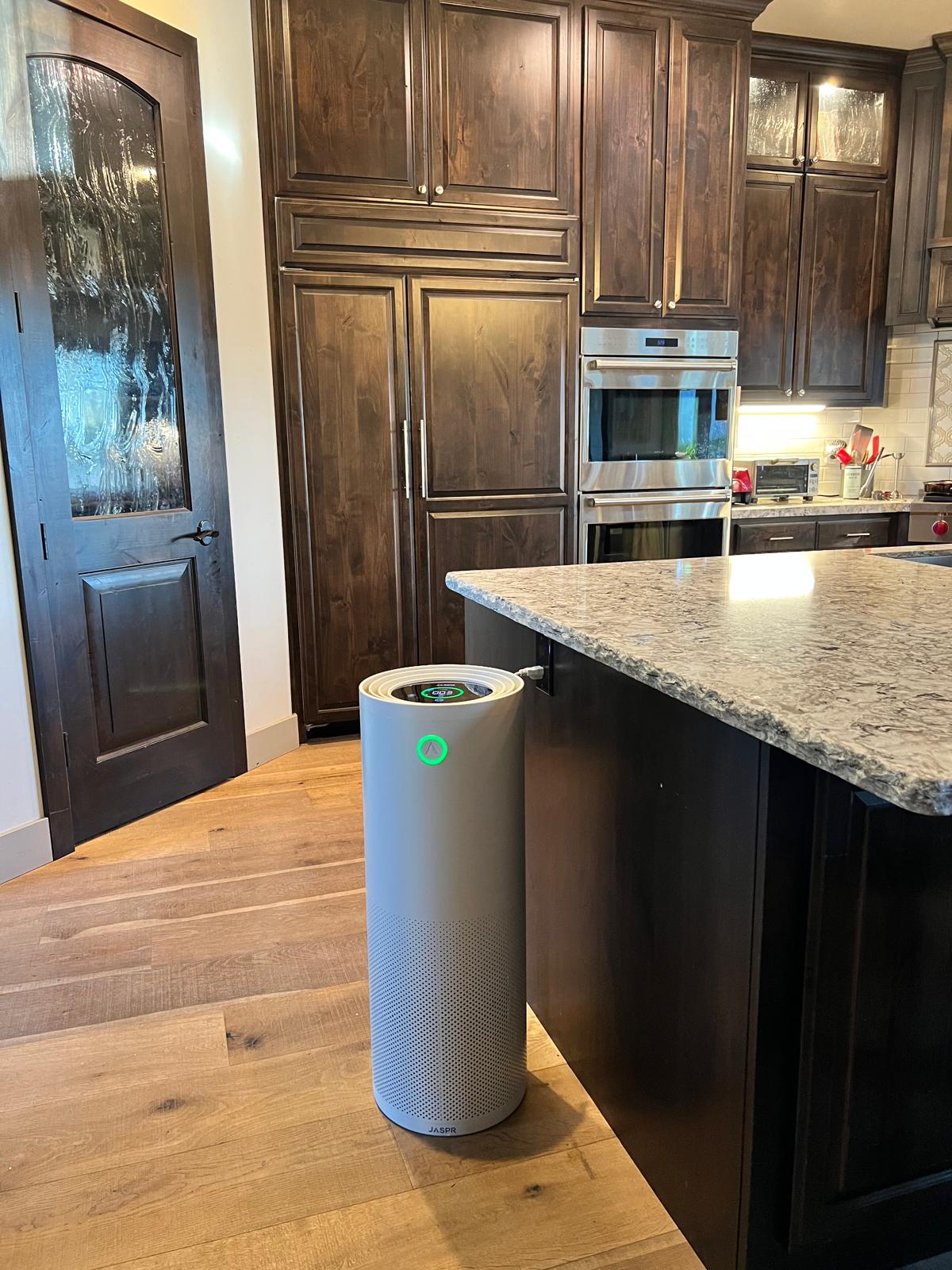 Jaspr quietly running in bedroom or kitchen 