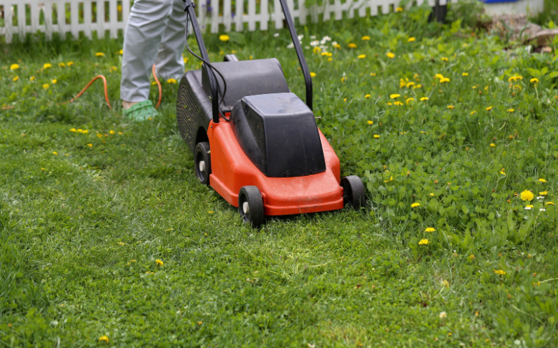 Professional Lawn Care Services Professional Lawn Care Services