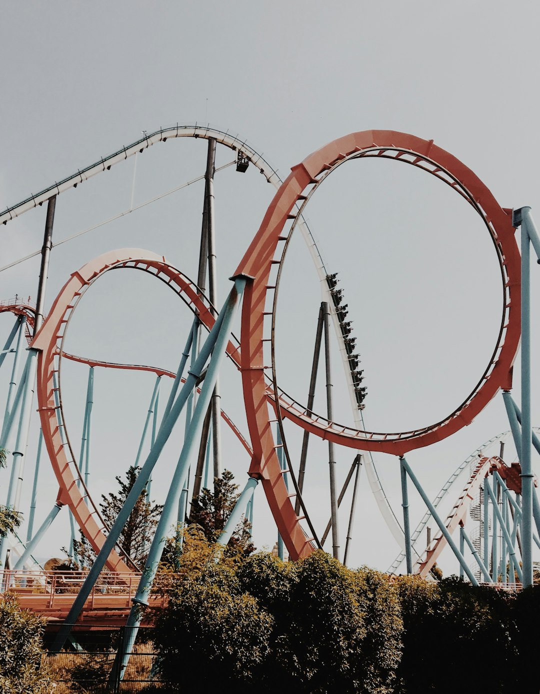 rollercoaster rollercoaster