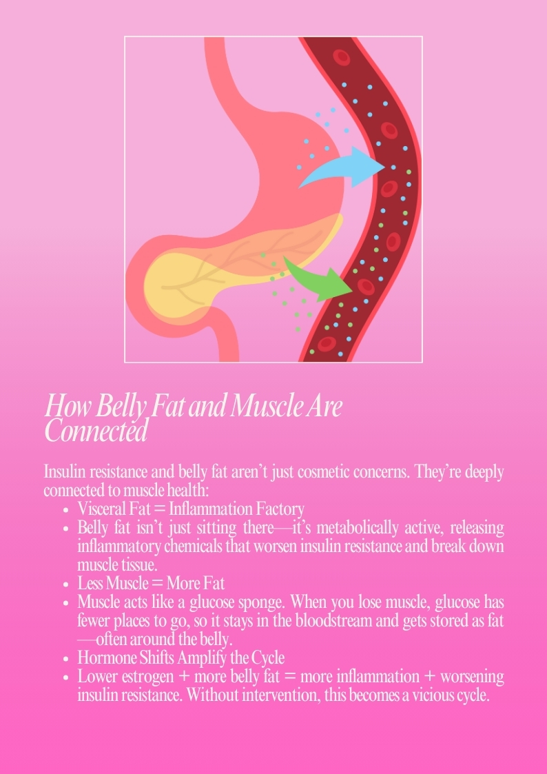 Insulin resistance drives belly fat and muscle loss in menopause. Learn why it happens, how magnesium plays a role, and what to do about it.