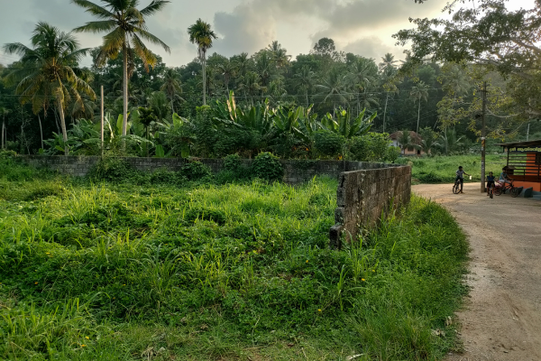 Land for sale Kallayam Ennikara Trivandrum Land for sale Kallayam Ennikara Trivandrum