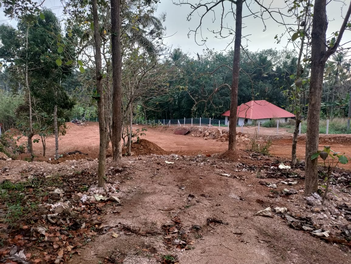 Your Opportunity: 77 Cents Land, Great Price in Pothencode Your Opportunity: 77 Cents Land, Great Price in Pothencode