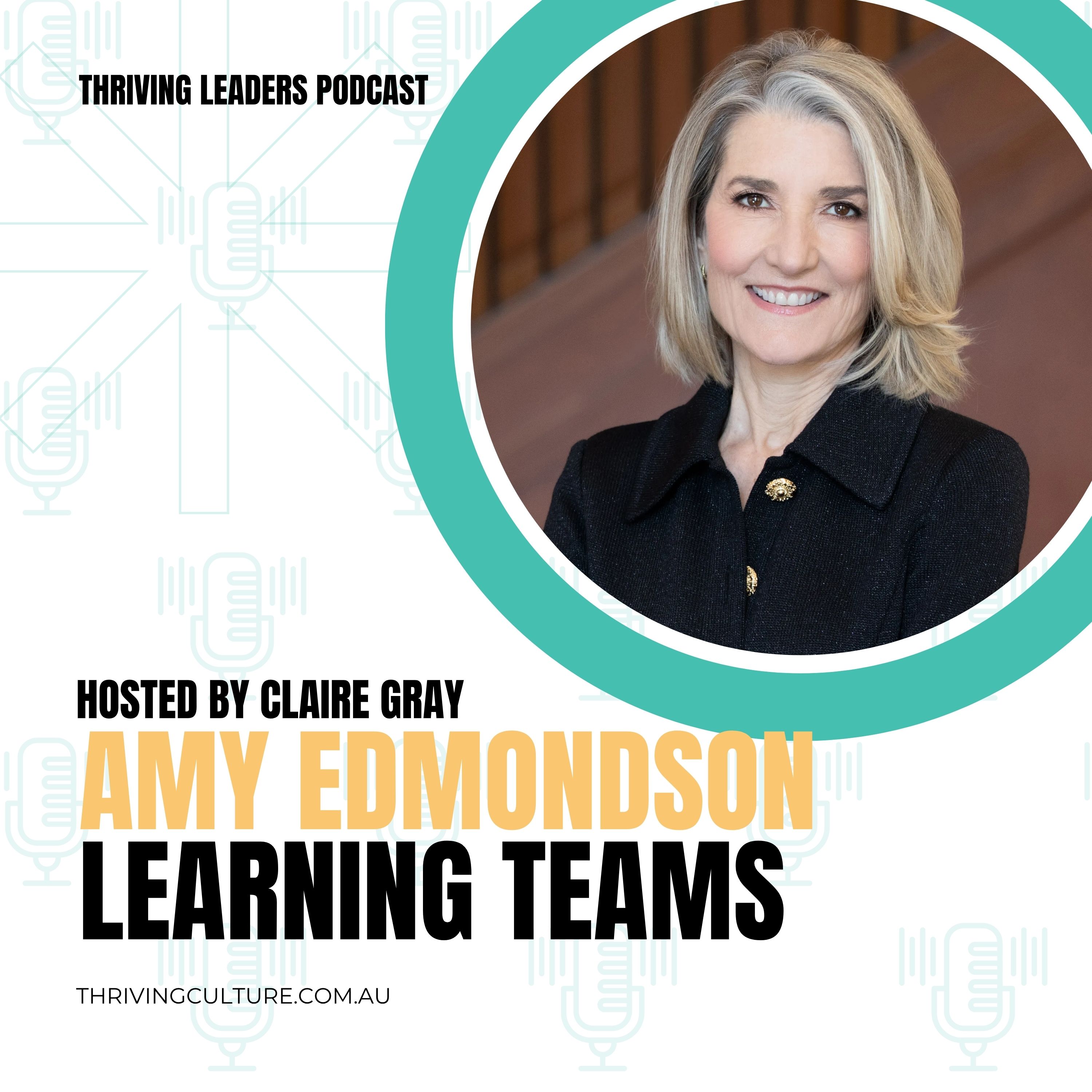 Learning Teams with Amy Edmondson

