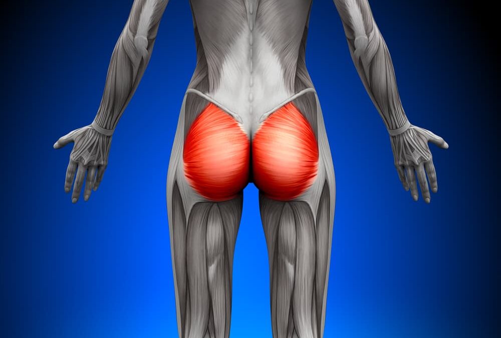 Glute Max and Back Pain