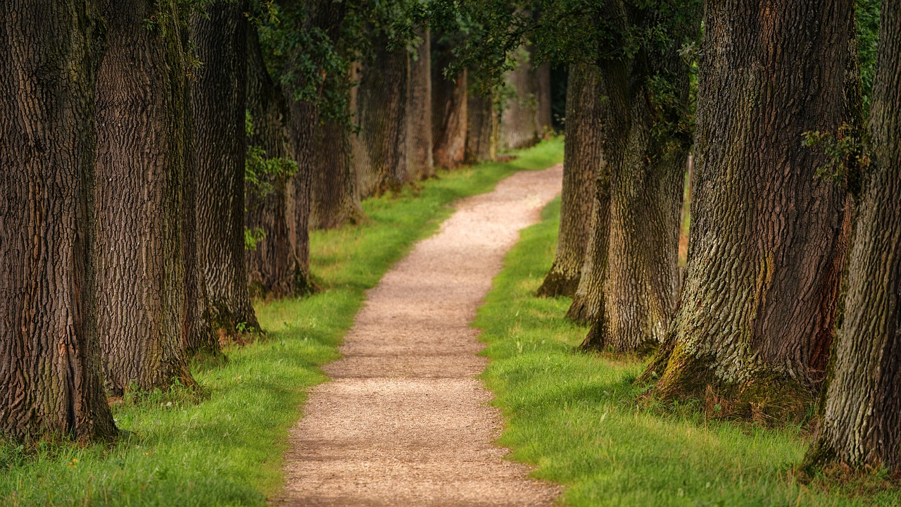 ADHD Testing for a Better Path Forward ADHD Testing for a Better Path Forward