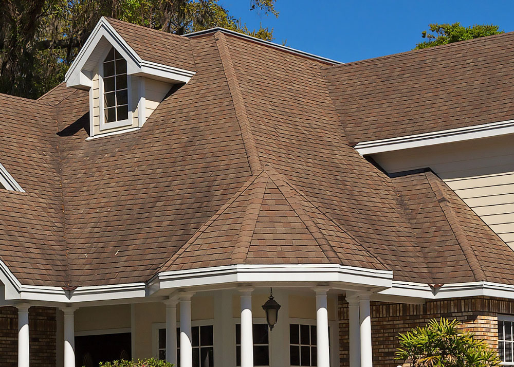 What Are Those Black Streaks On My Shingle Roof?