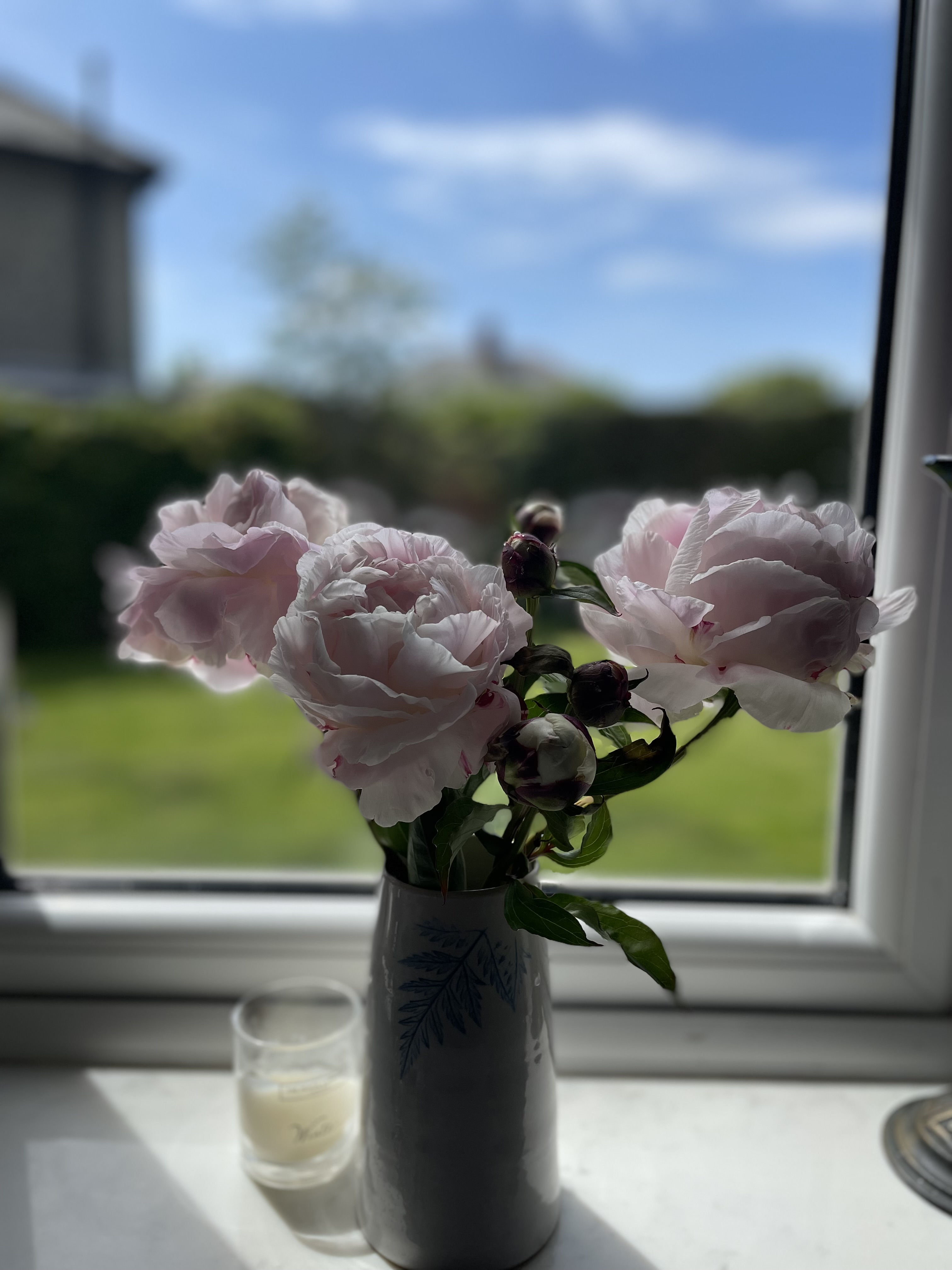 Fresh Flowers Peony 