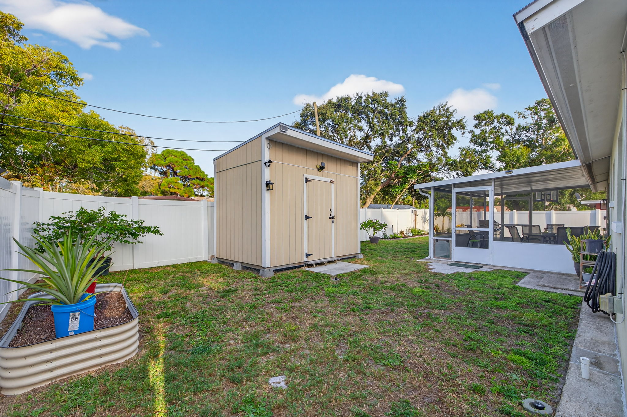 backyard with shed backyard with shed