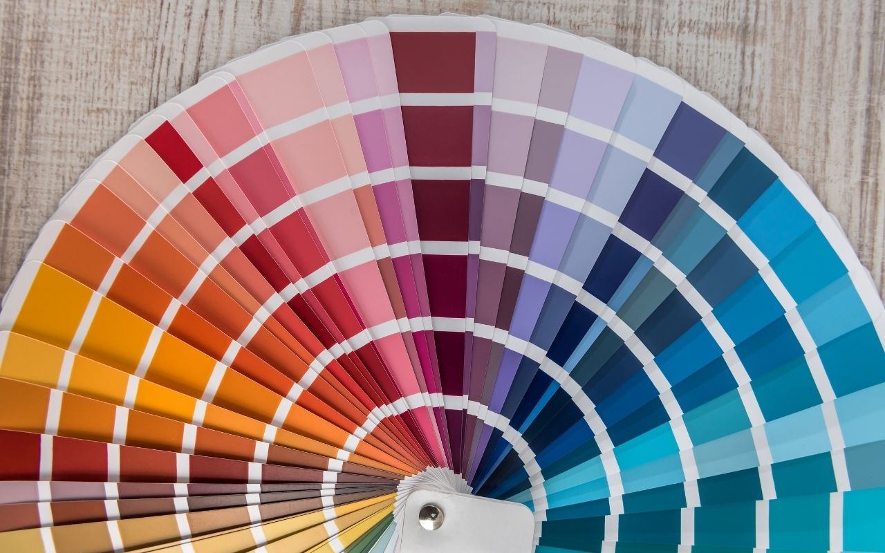 Interior wall showing popular 2025 color palette
