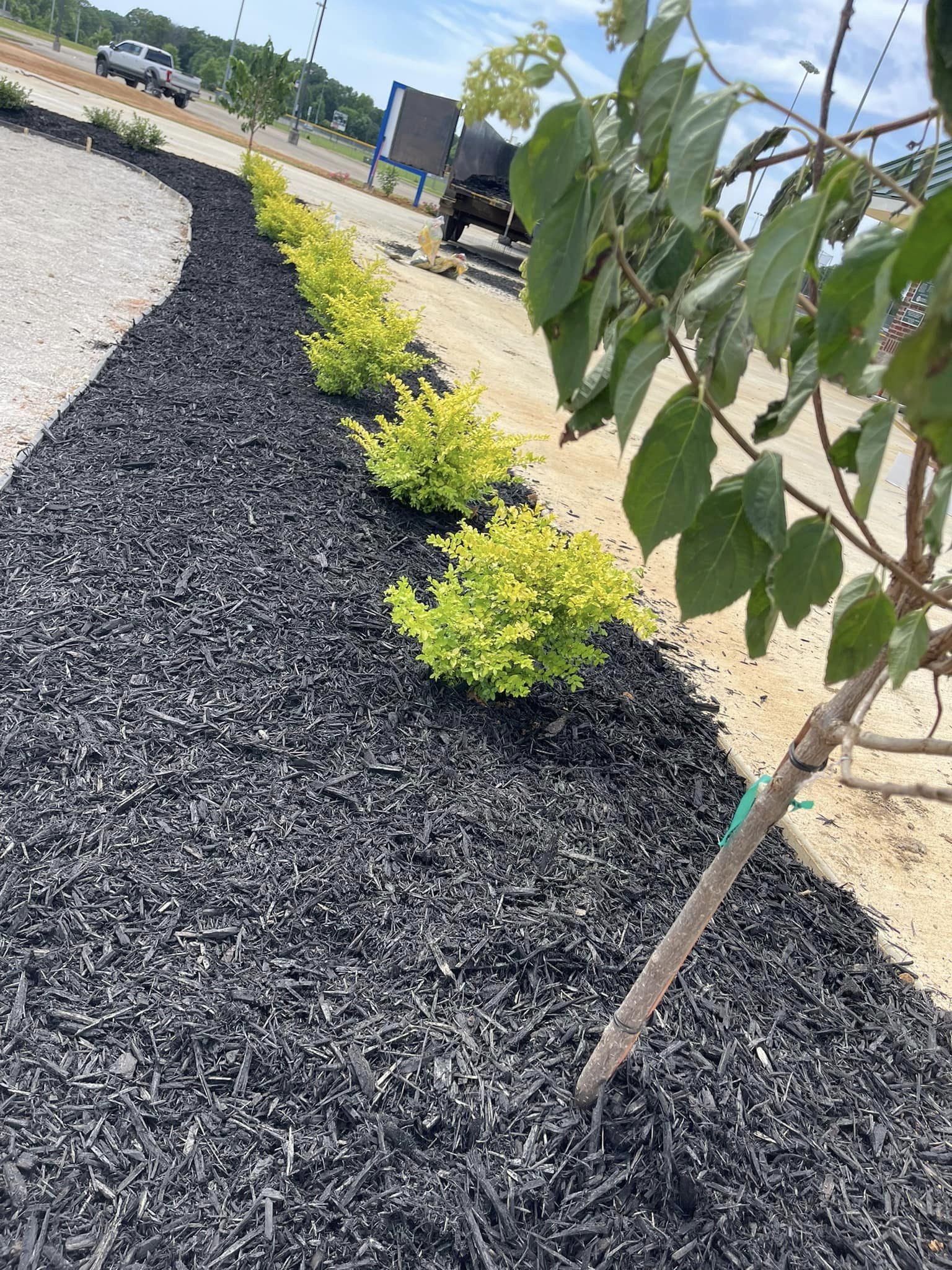 landscaping and lawn care tupelo ms