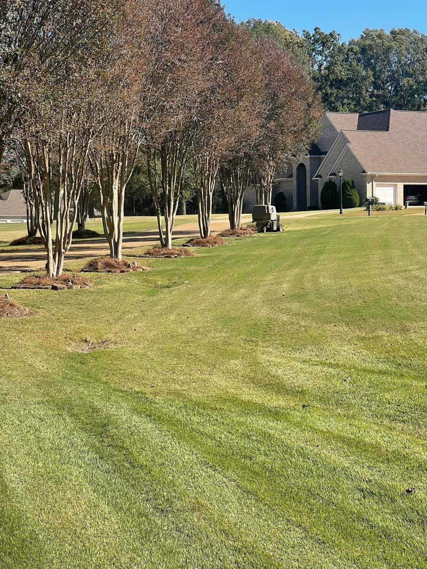landscaping services tupelo ms landscaping services tupelo ms