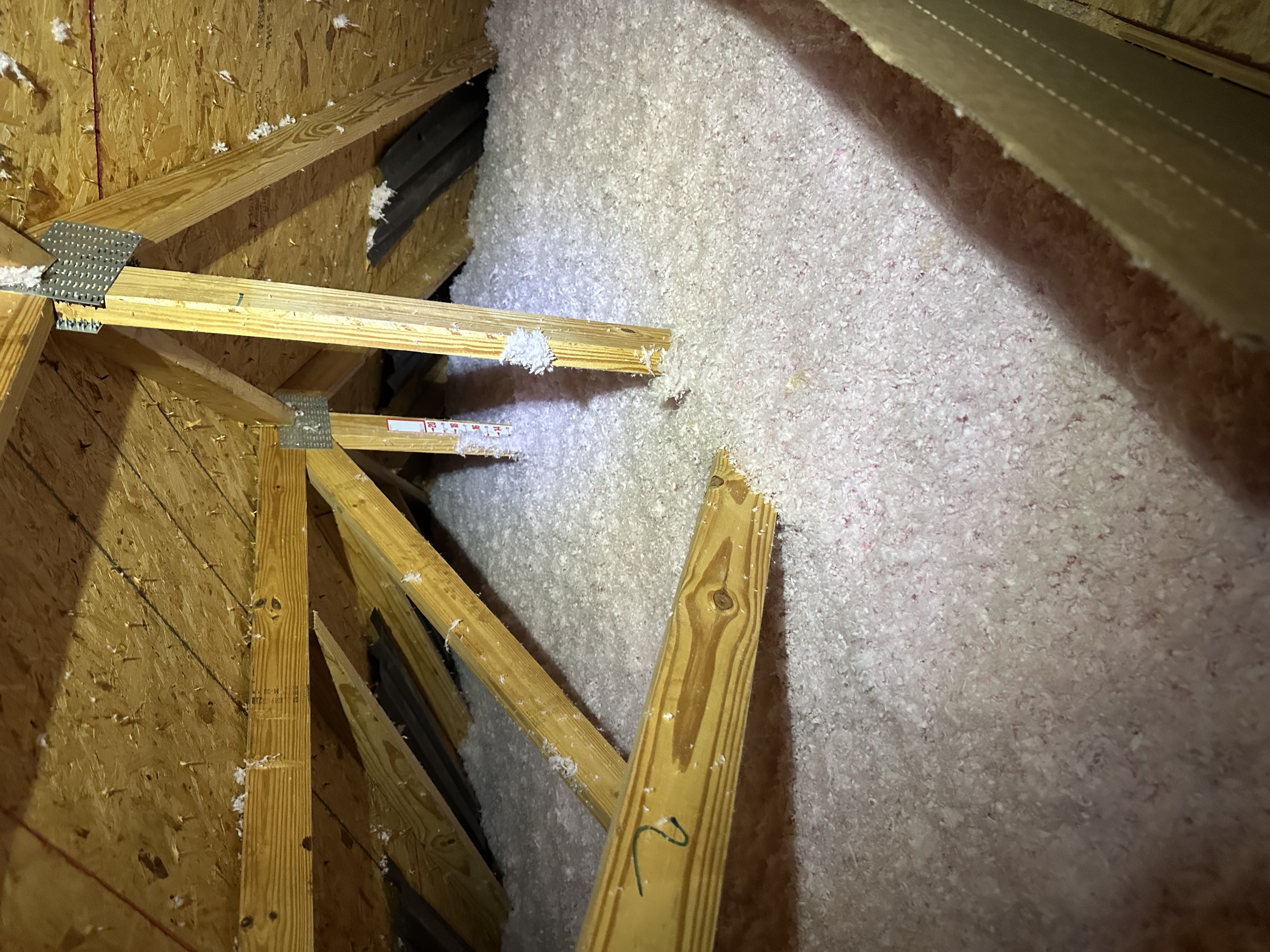 Attic Insulation
