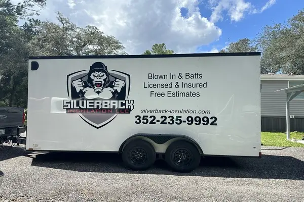 Professional Local Insulation Experts Near You