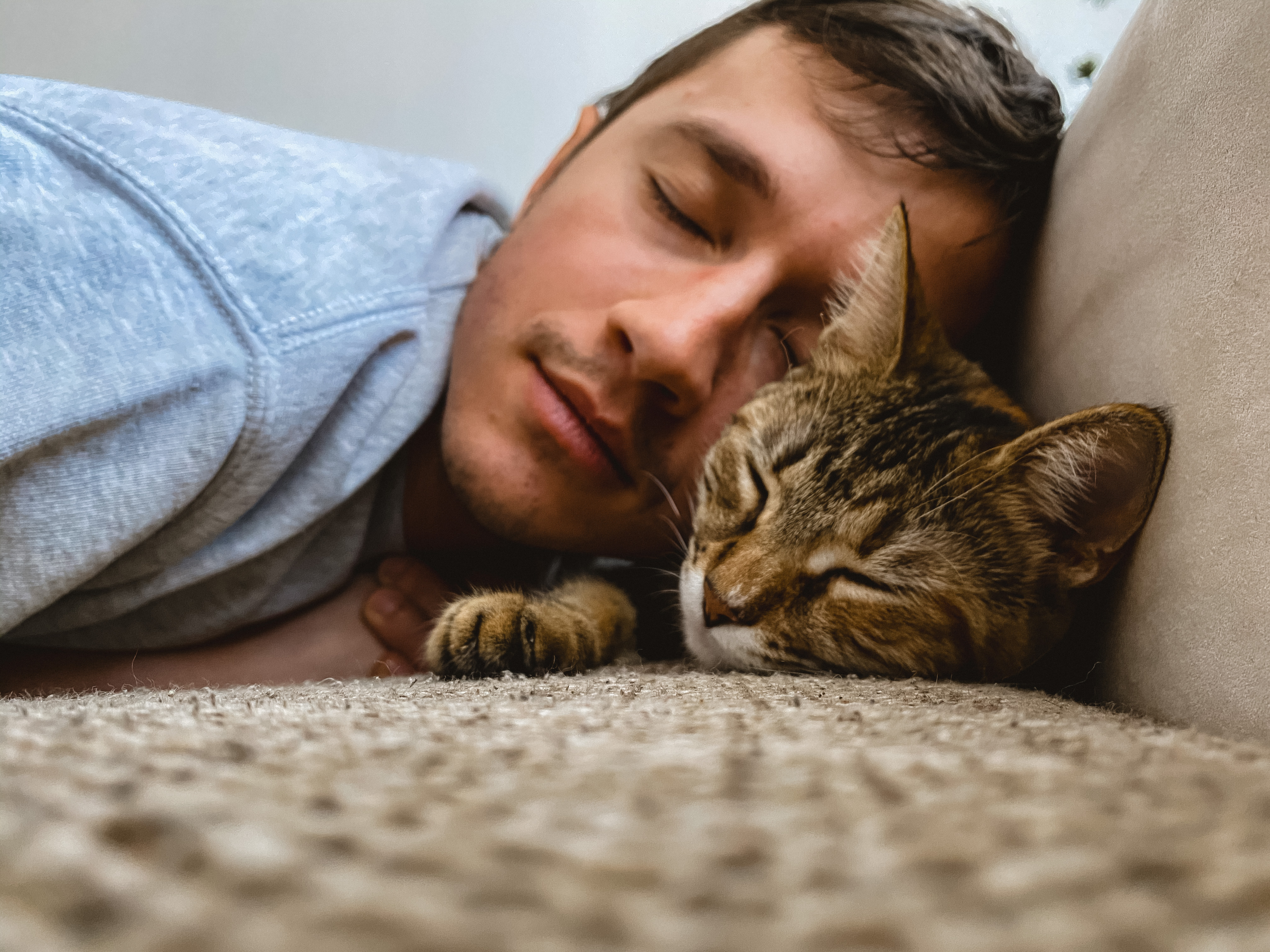 Man napping next to cat