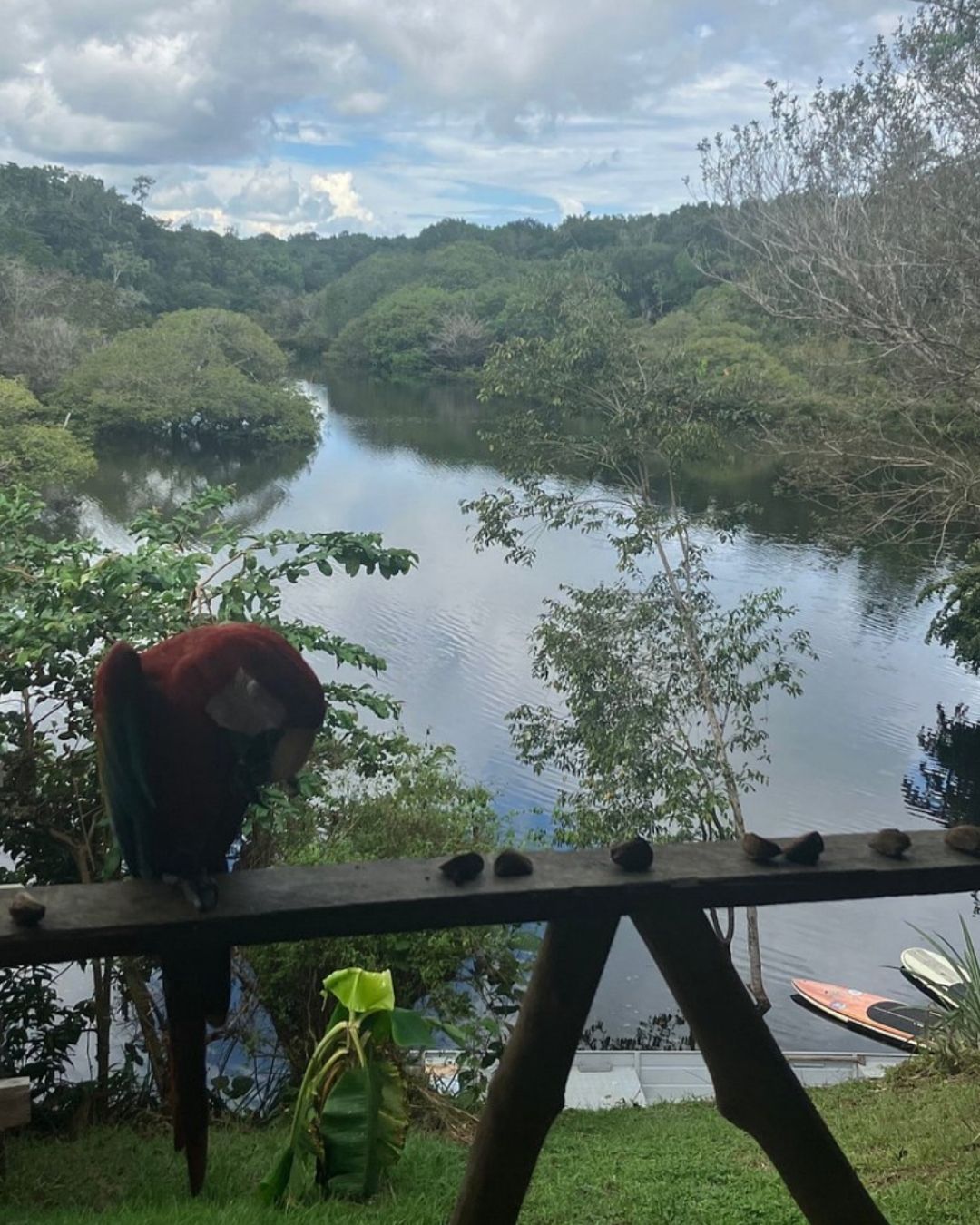 Amazon jungle lodge moment 5