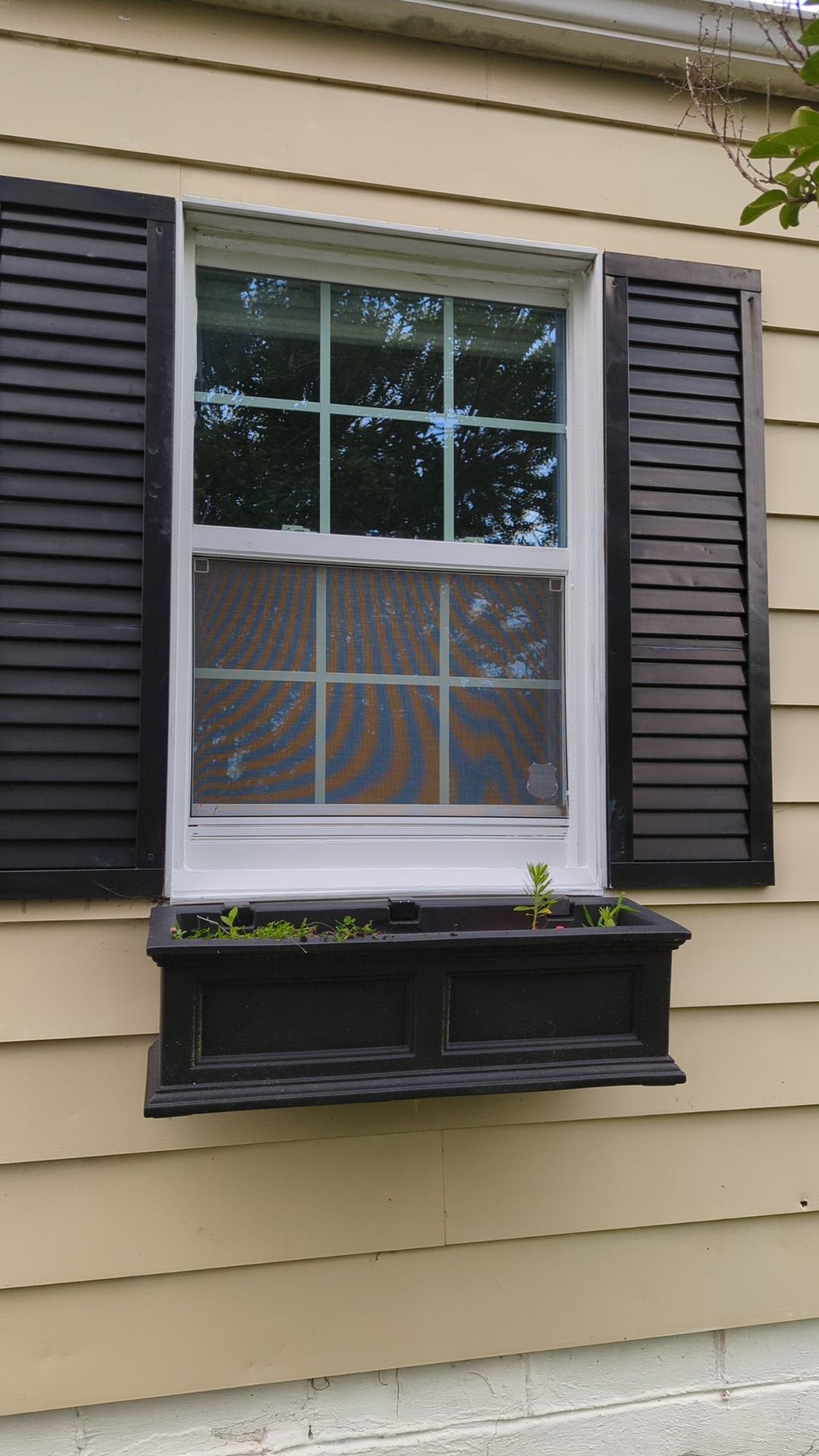 window replacement