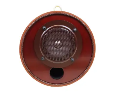 MS1001-Pro - 2