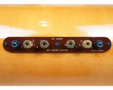 MS1001-Pro - 3