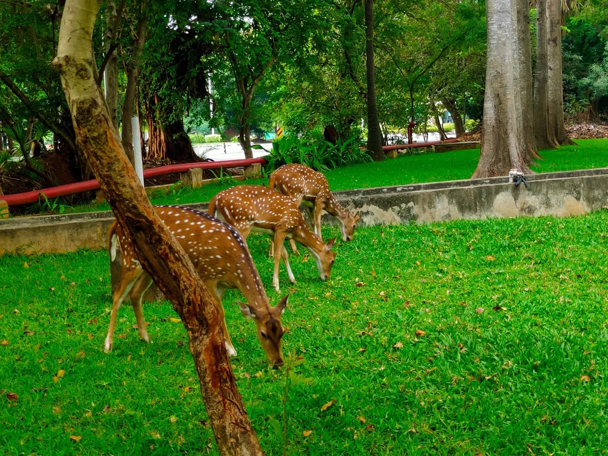Indian Institute of Technology, Madras