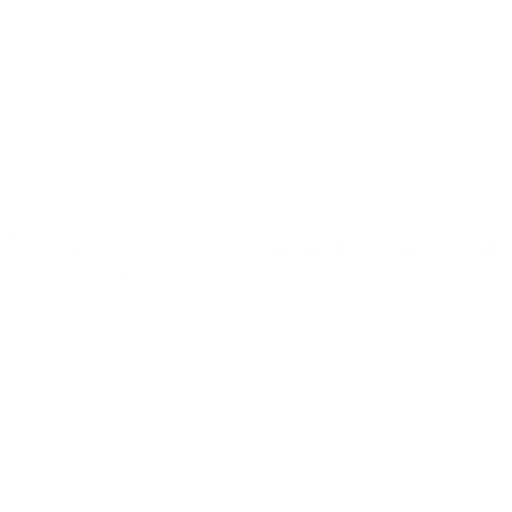 NSUT Delhi logo