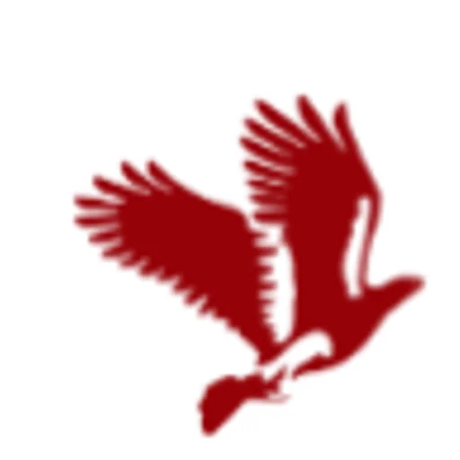 FMS Delhi logo