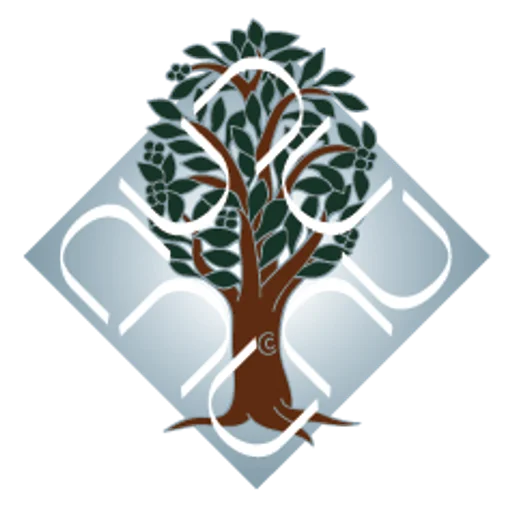 NIT Delhi logo